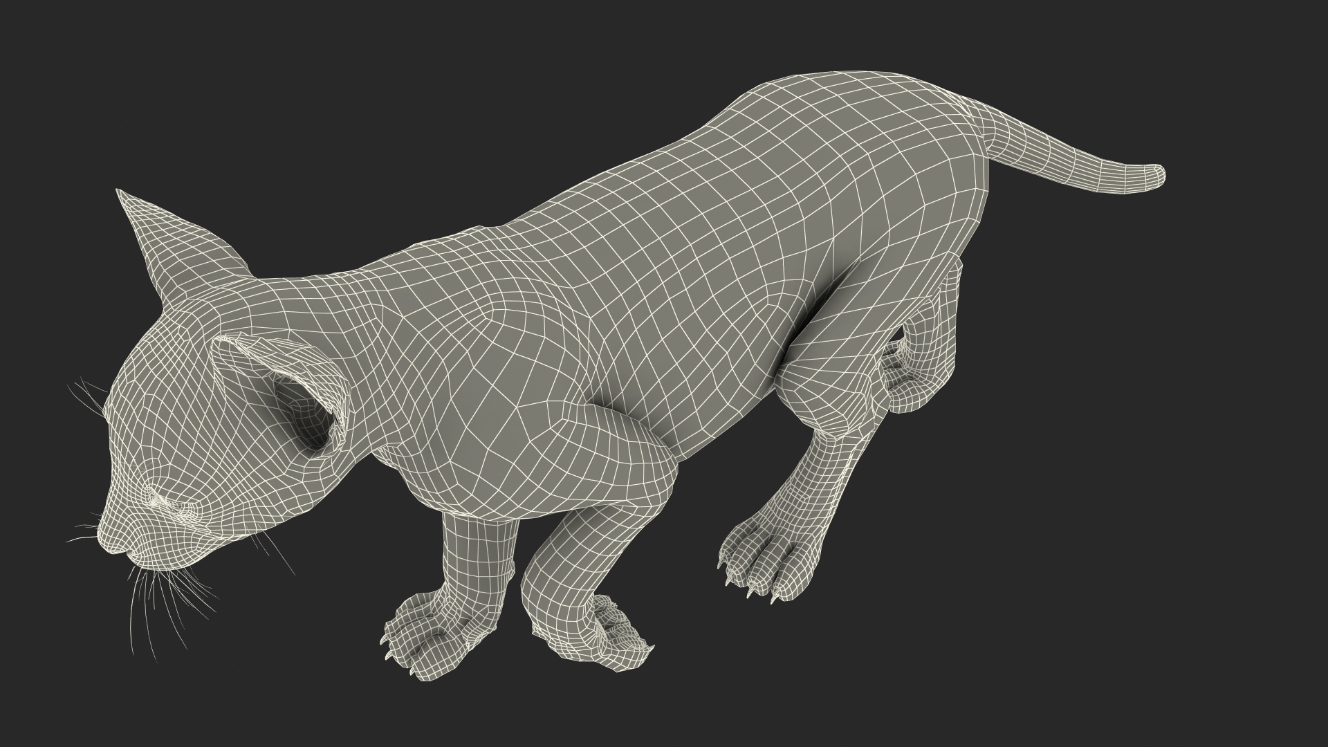 3D Lynx Cub in Walking Pose Fur model