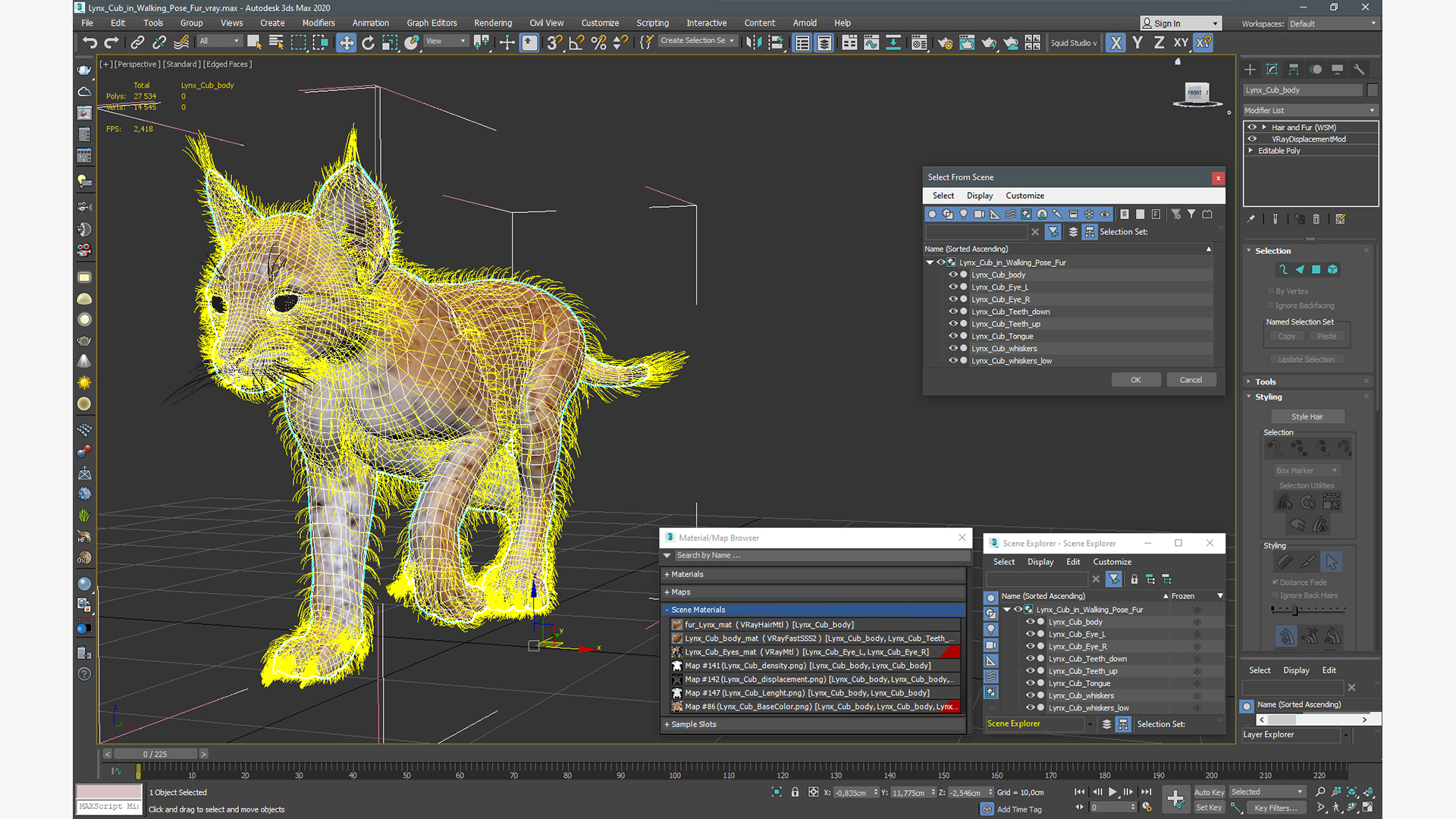 3D Lynx Cub in Walking Pose Fur model