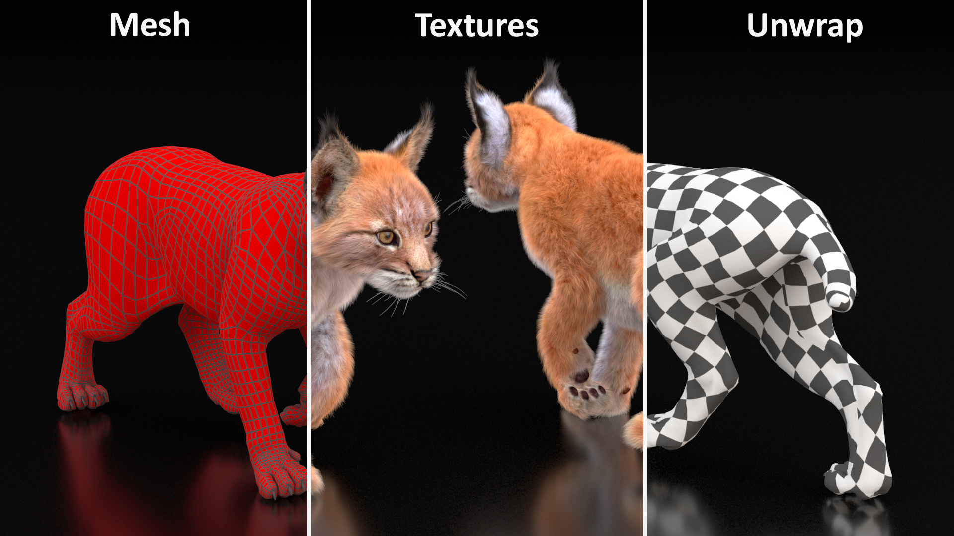 3D Lynx Cub in Walking Pose Fur model