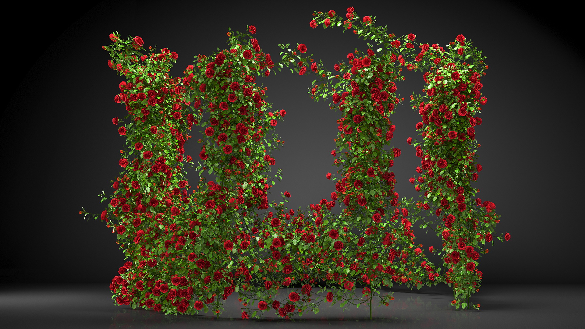 3D Red Rose Bush model