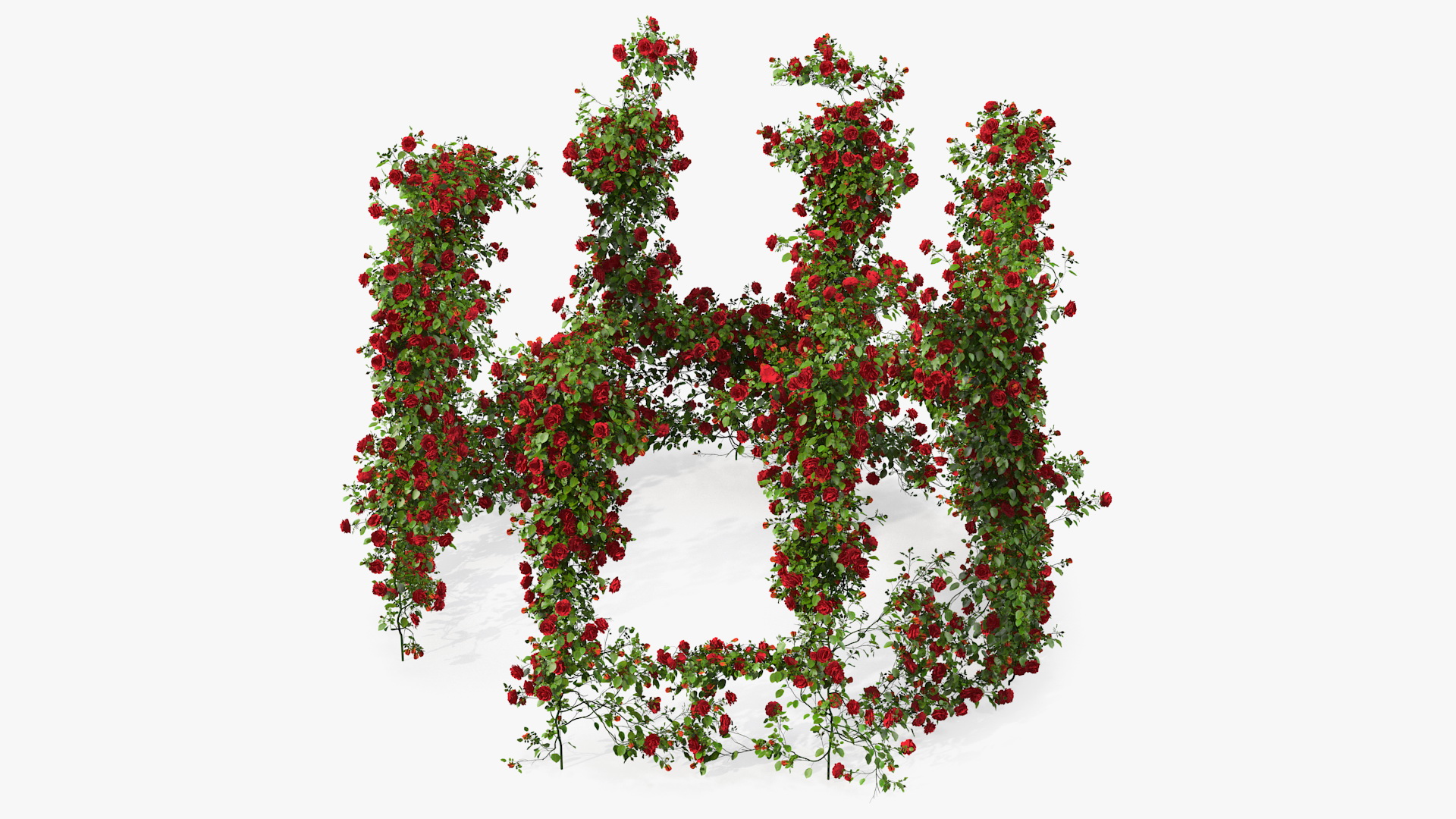 3D Red Rose Bush model