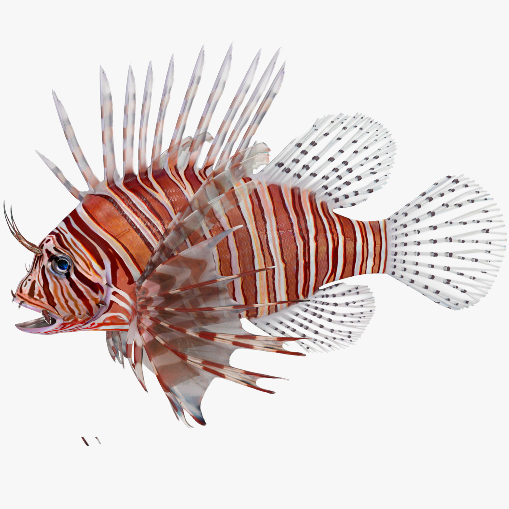 3D model Lionfish Marine Creature Rigged for Maya