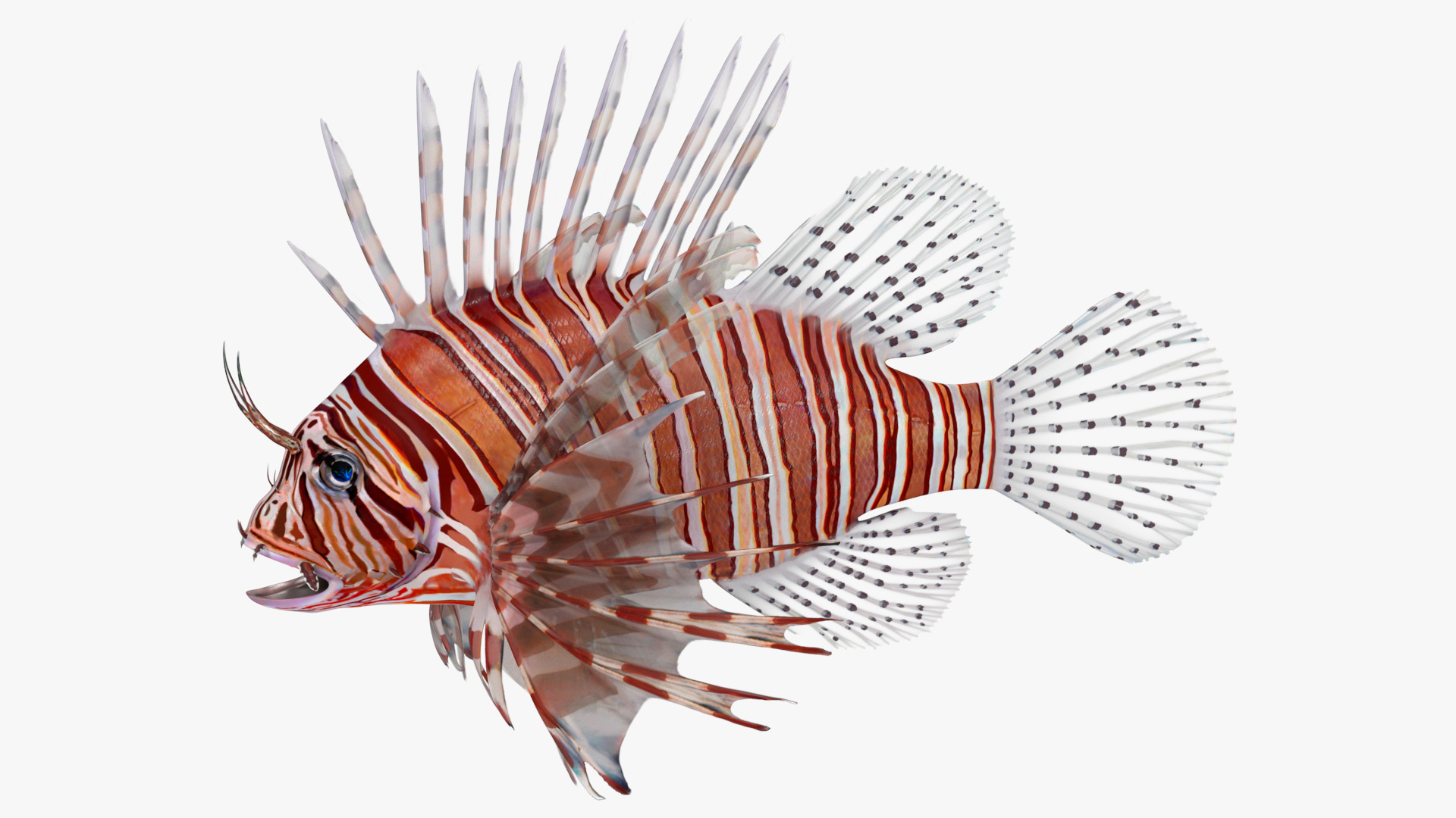 3D model Lionfish Marine Creature Rigged for Maya