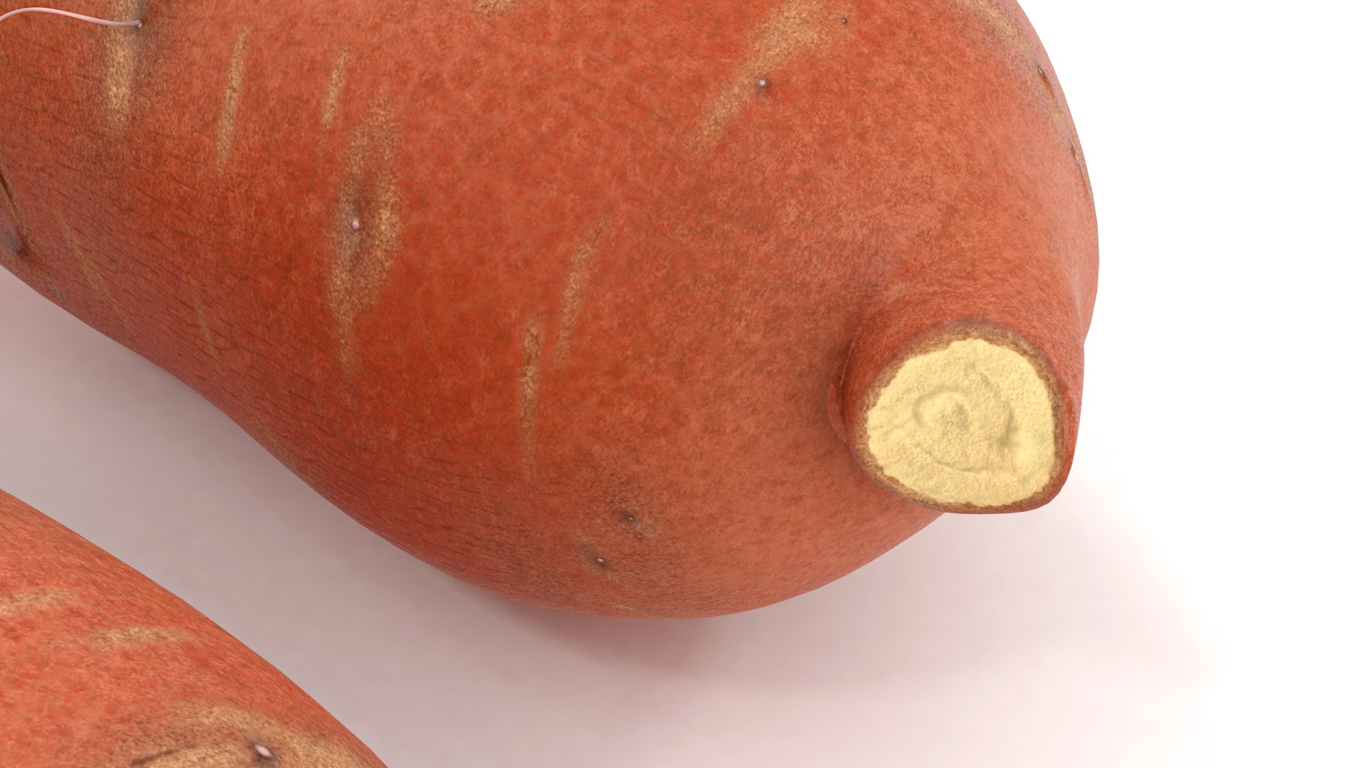 3D Sweet Potato Brown model