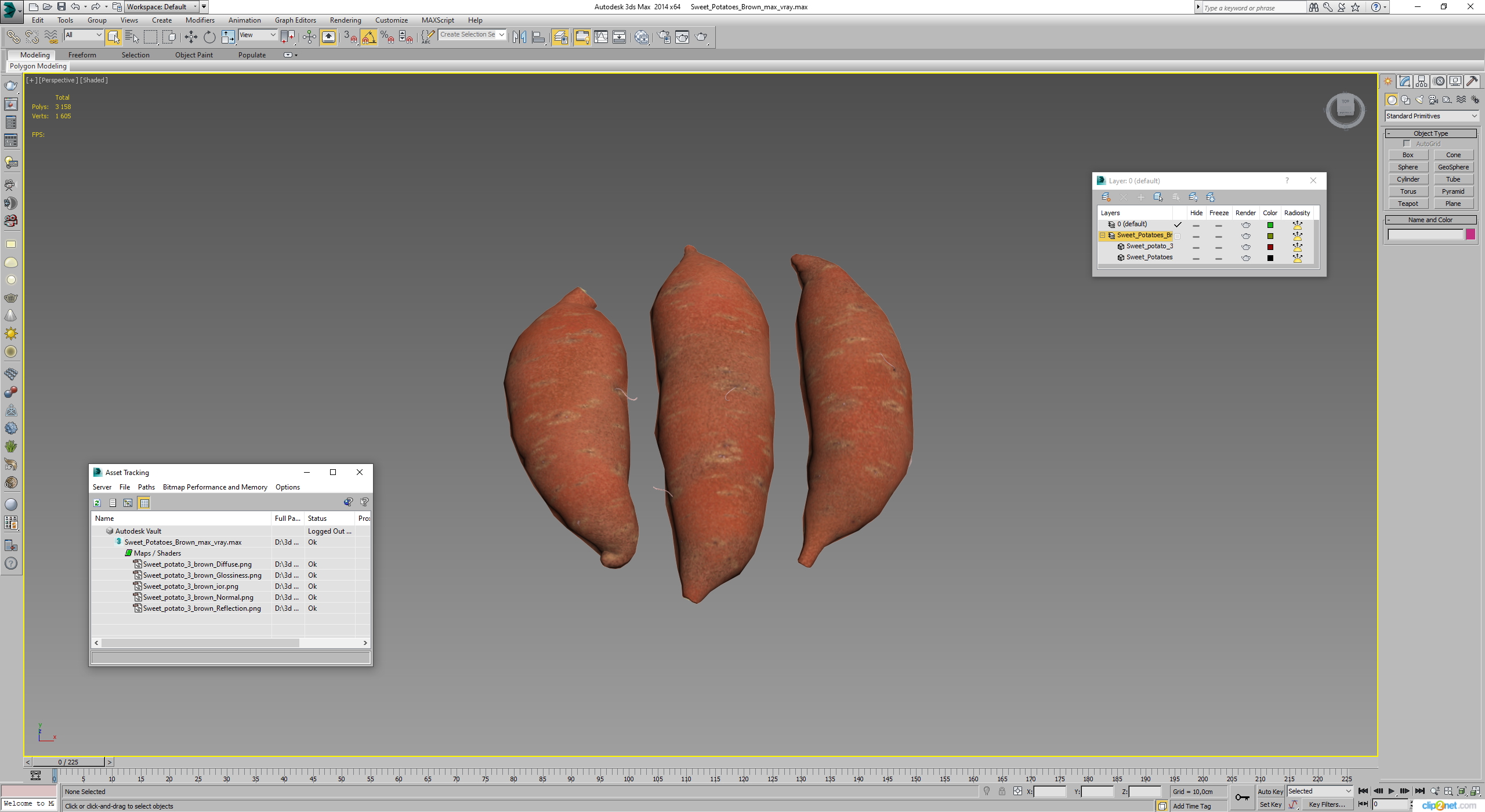 3D Sweet Potato Brown model