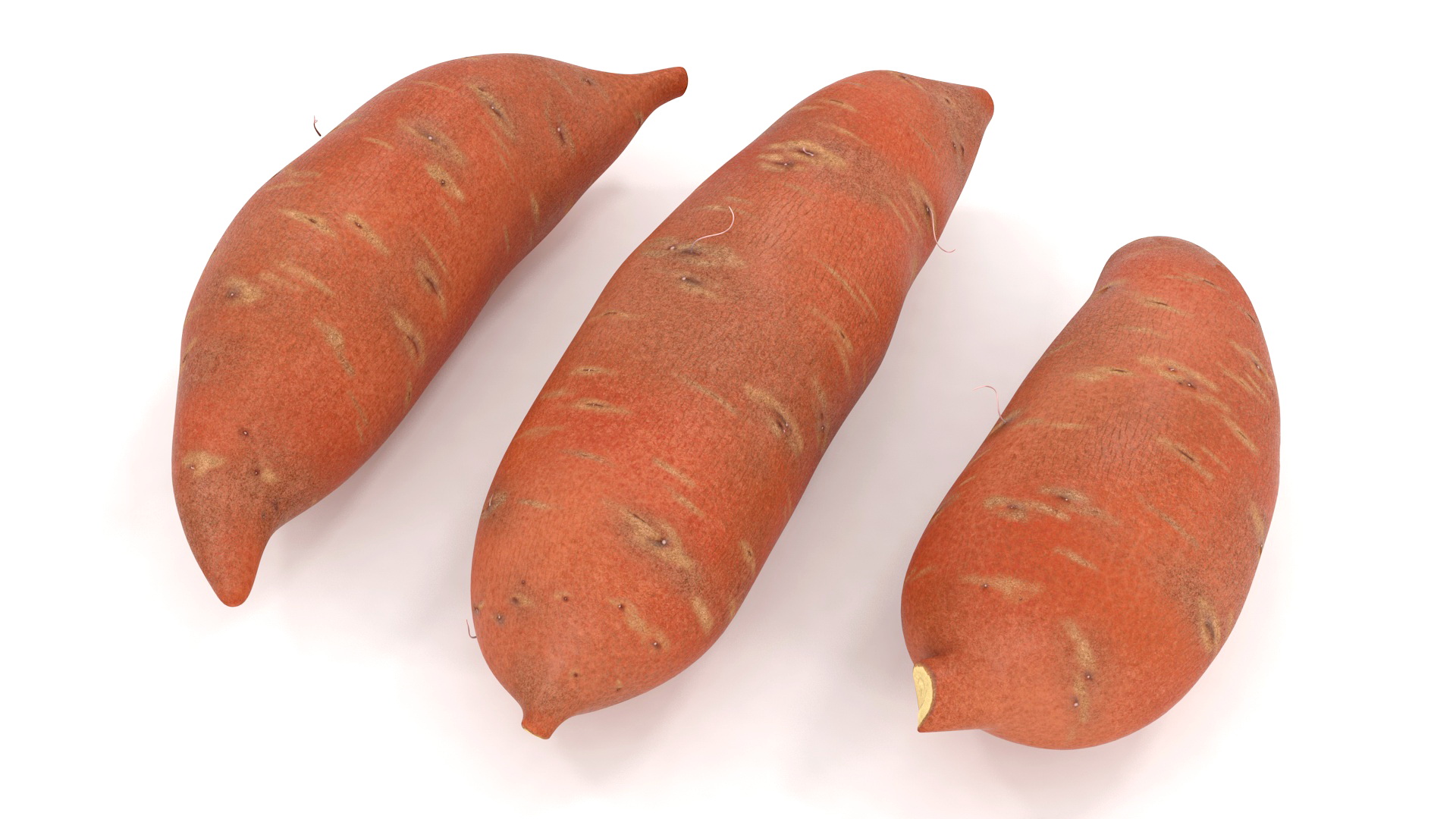 3D Sweet Potato Brown model