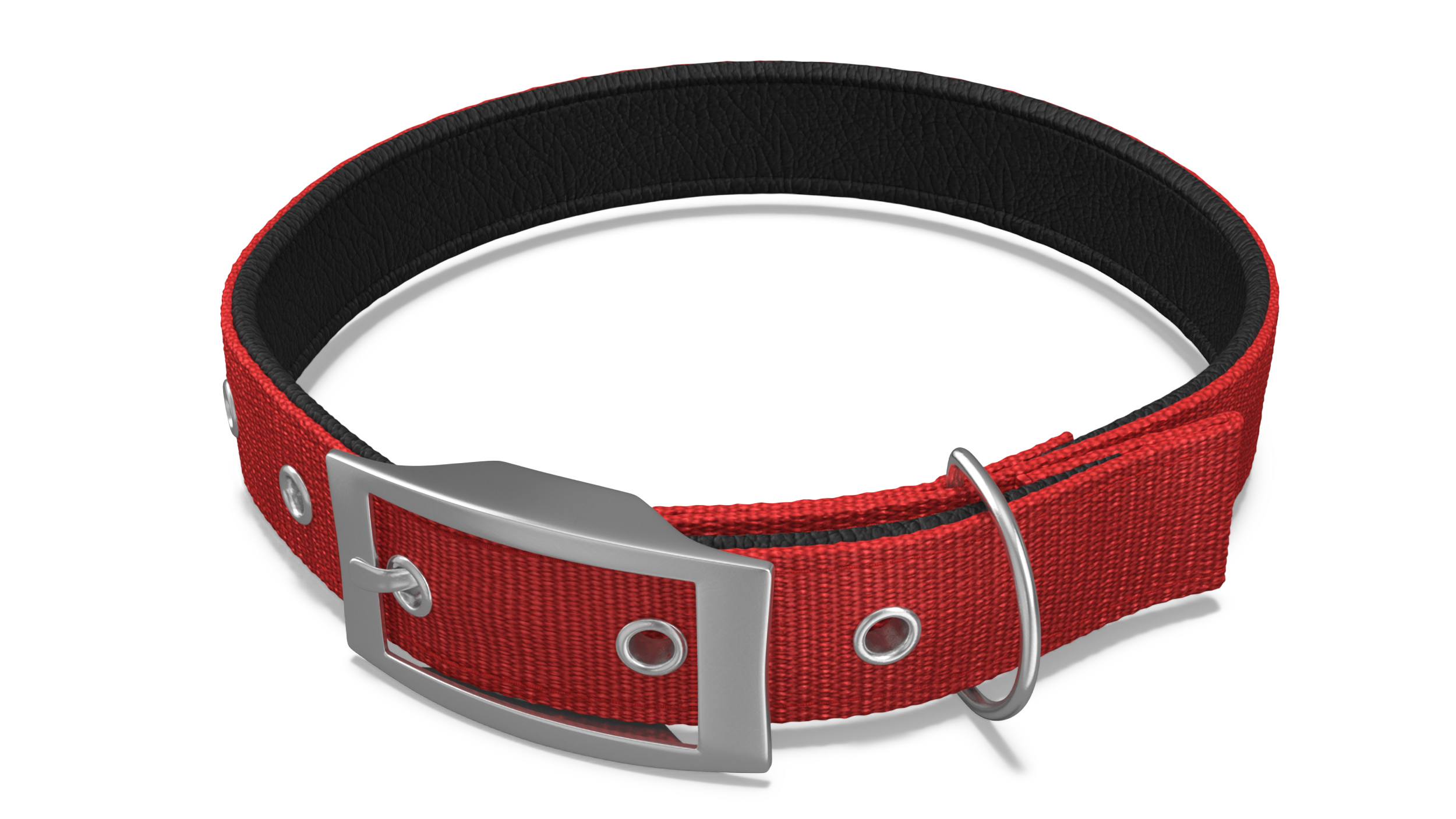 3D Pet Collar with Metal Buckle model