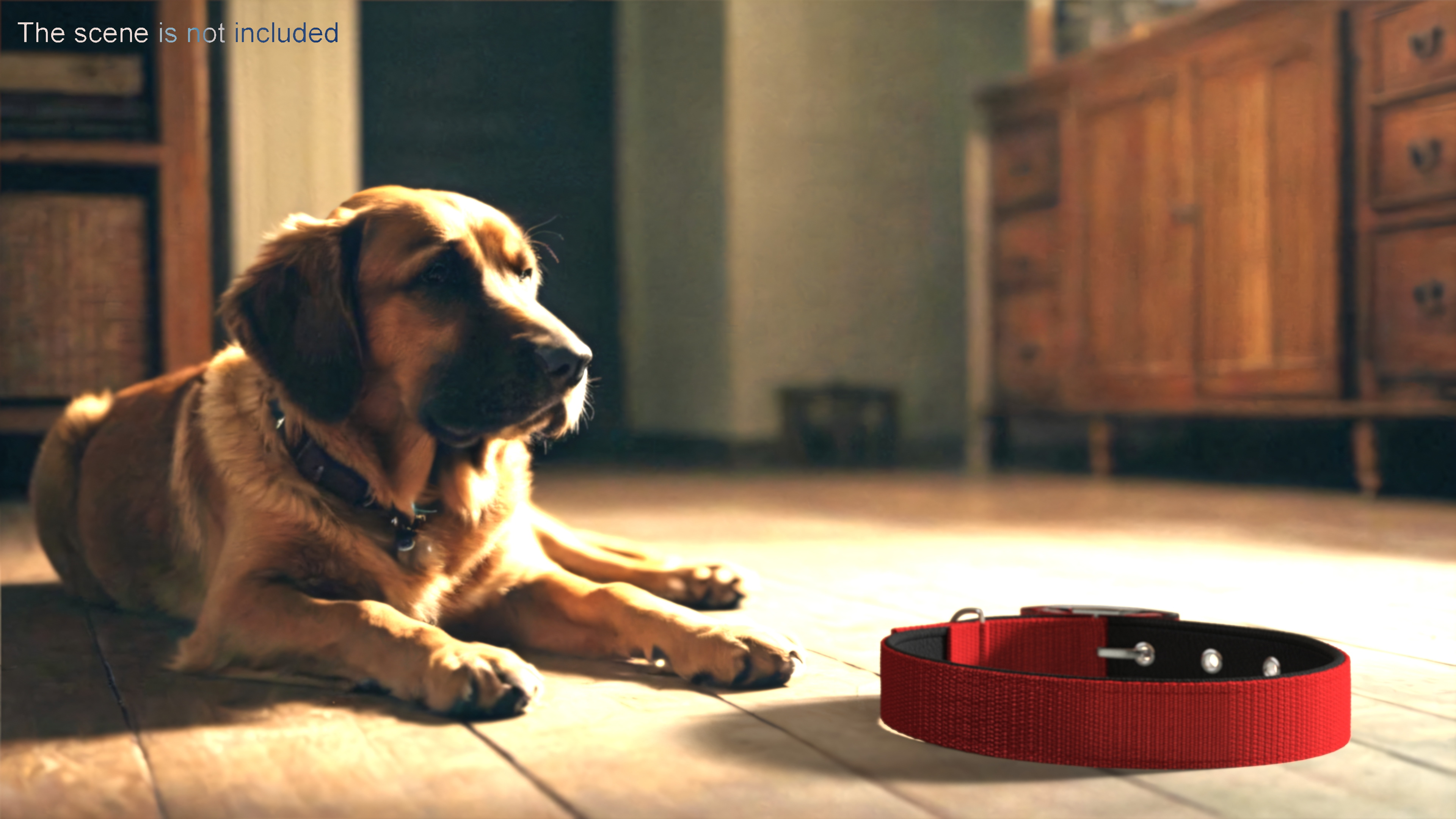 3D Pet Collar with Metal Buckle model