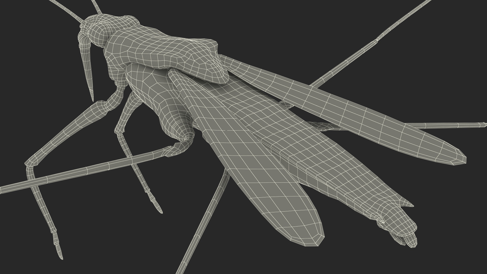 Water Strider Fur 3D