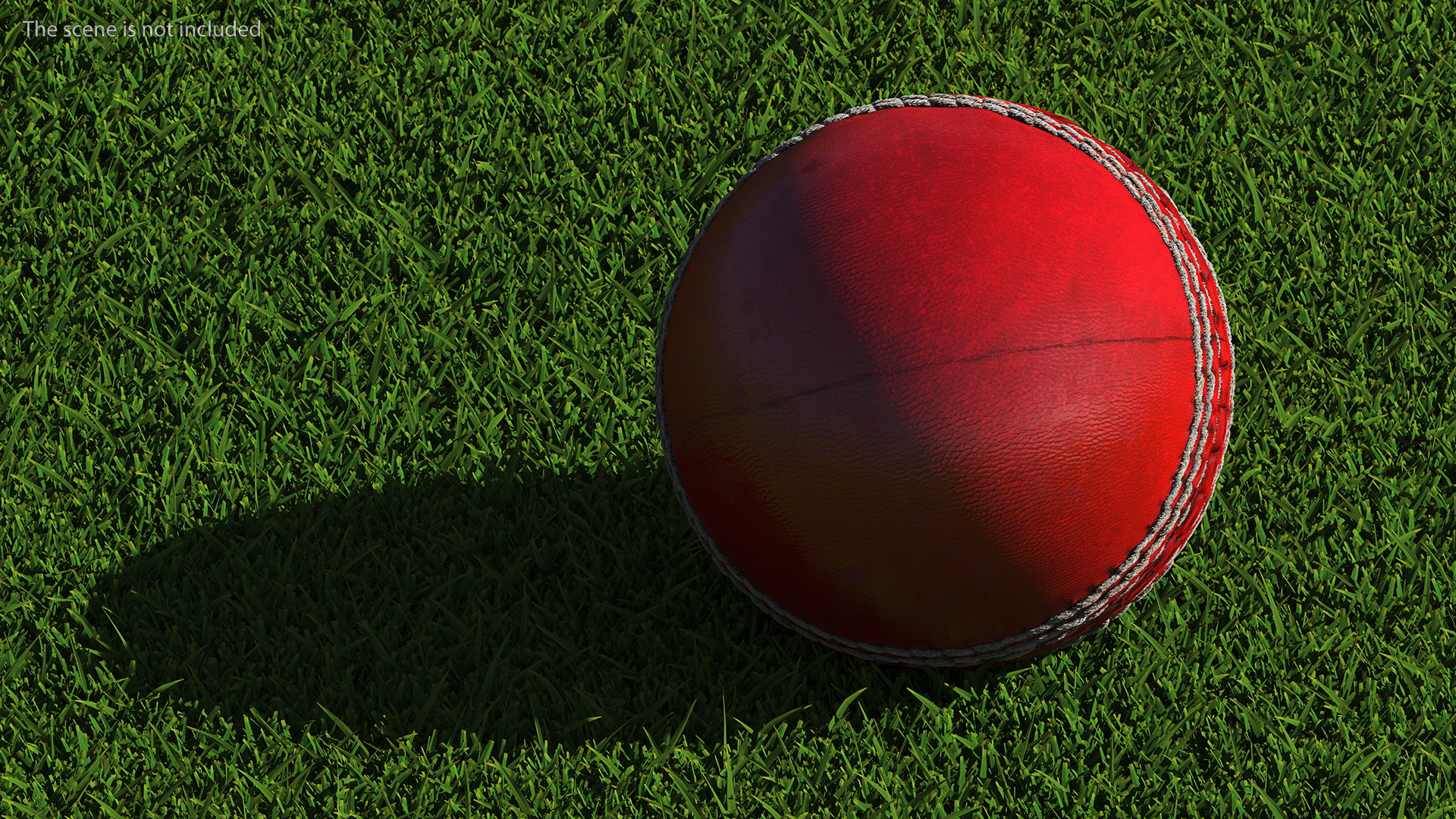 3D Realistic Cricket Ball Fur