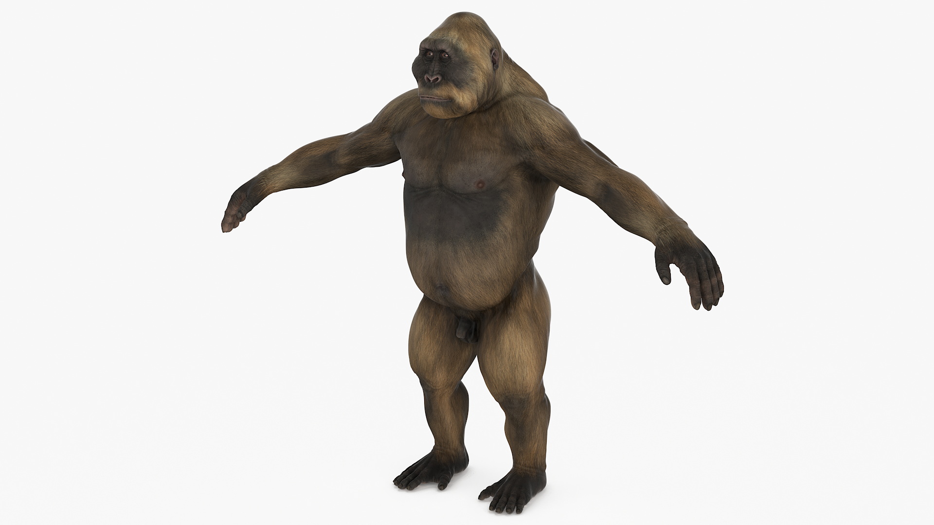 3D model Big Ape Gigantopithecus A-Pose