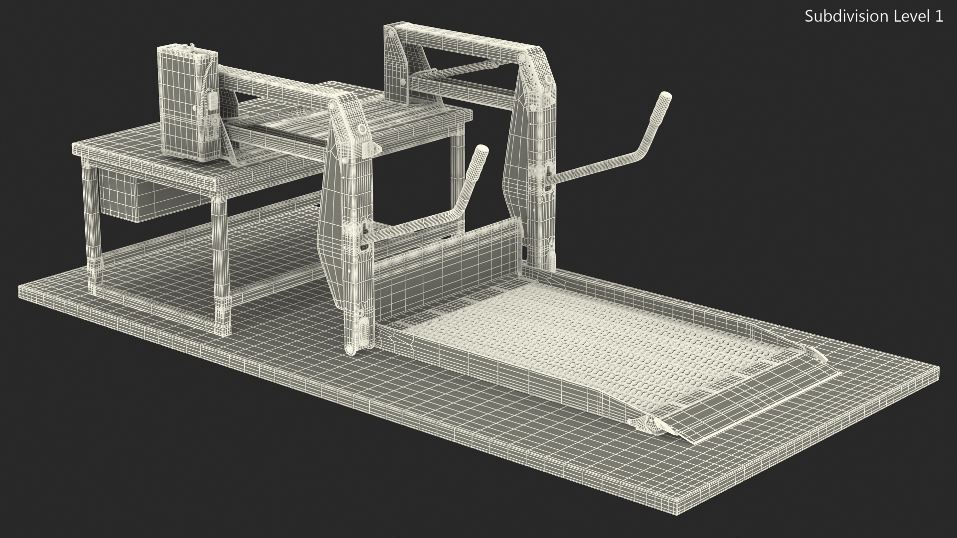 3D Ricon Linear Wheelchair Lift AL1 Panorama