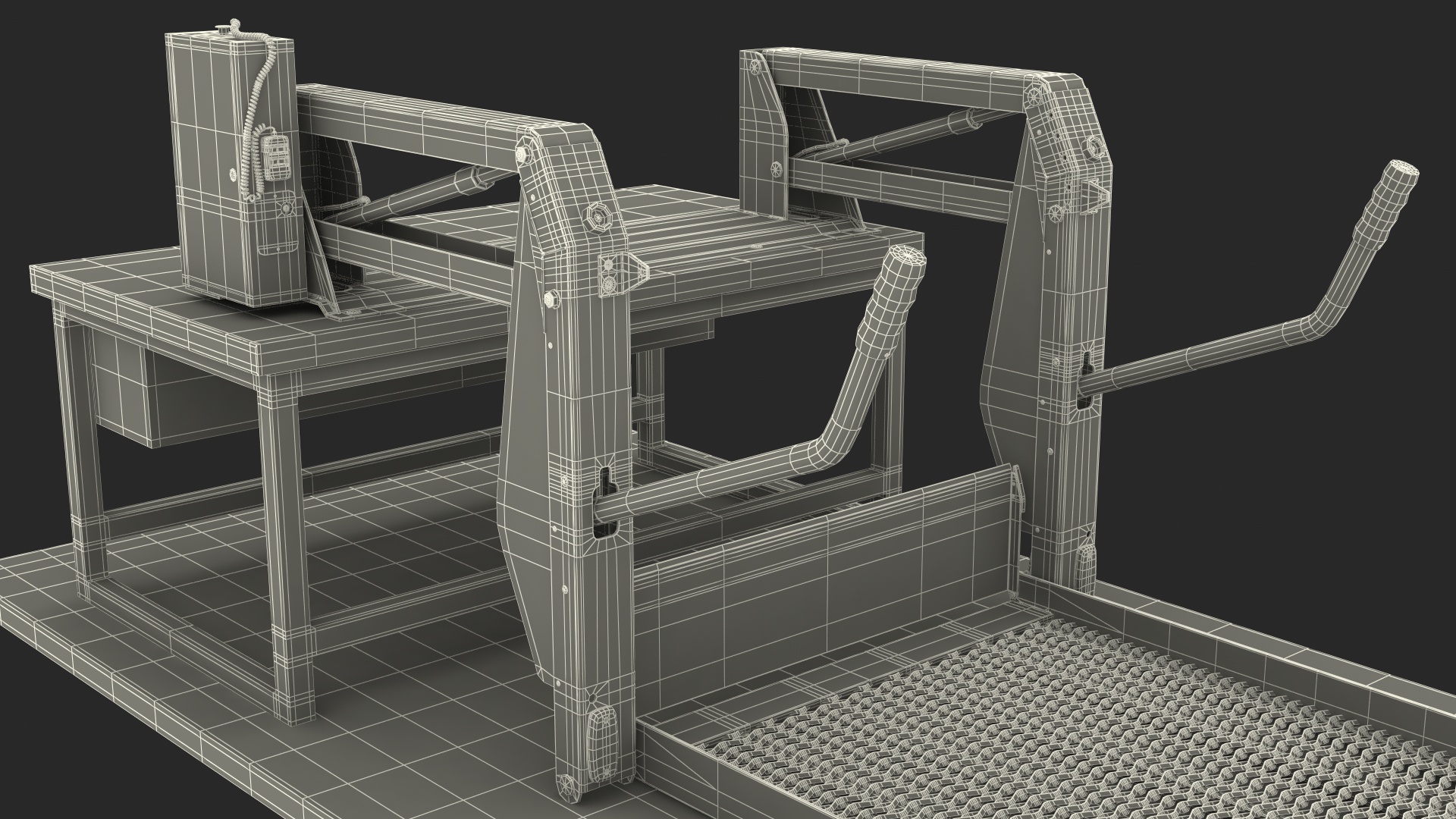 3D Ricon Linear Wheelchair Lift AL1 Panorama