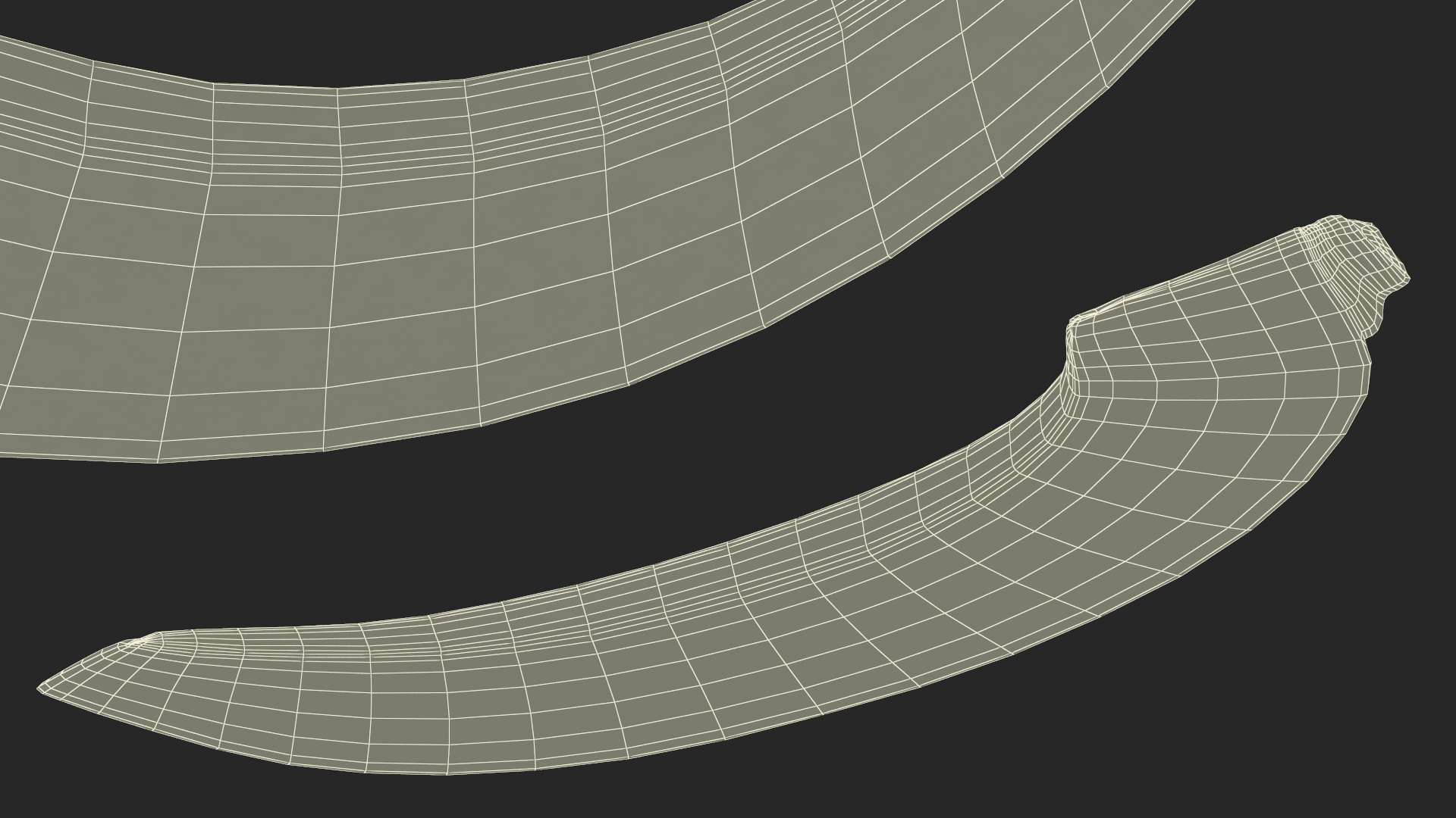 3D Pumpkin Slice model