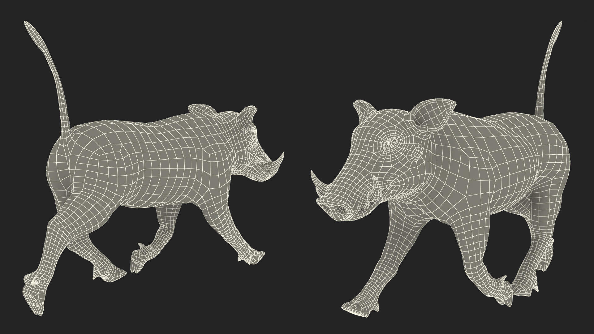 African Boar Walking Pose Fur 3D model