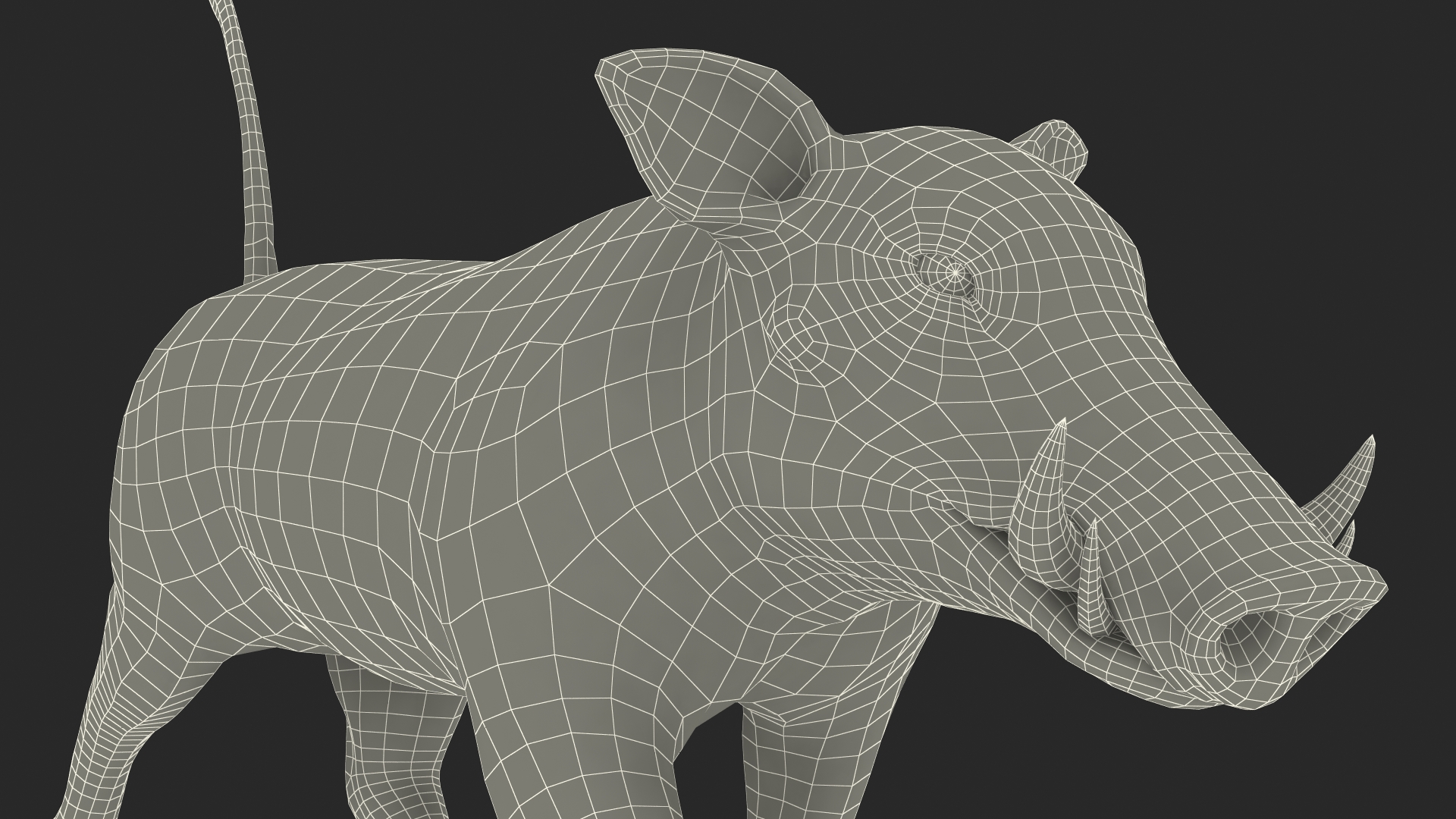 African Boar Walking Pose Fur 3D model