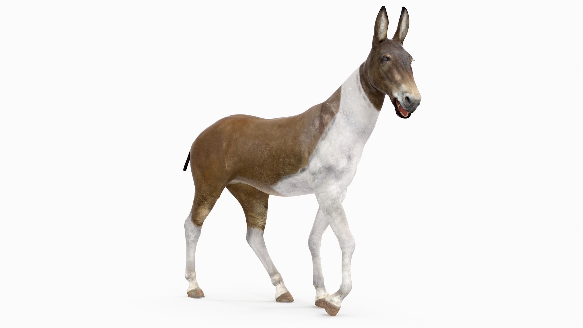 3D model Mule Rigged for Maya