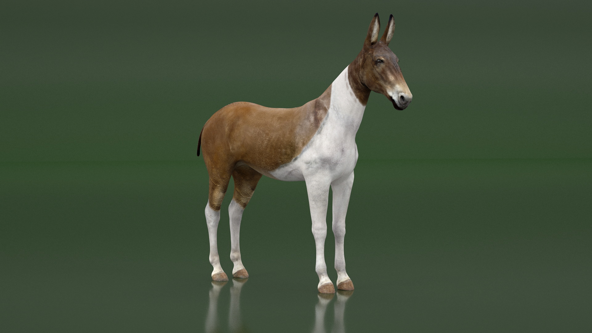 3D model Mule Rigged for Maya