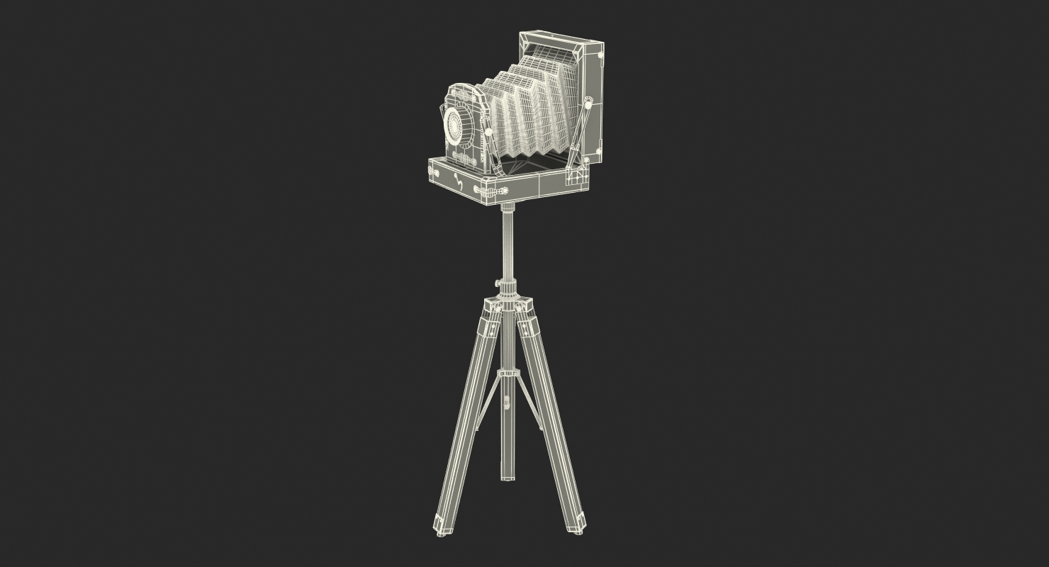 Antique Folding Plate Camera and Tripod 3D model