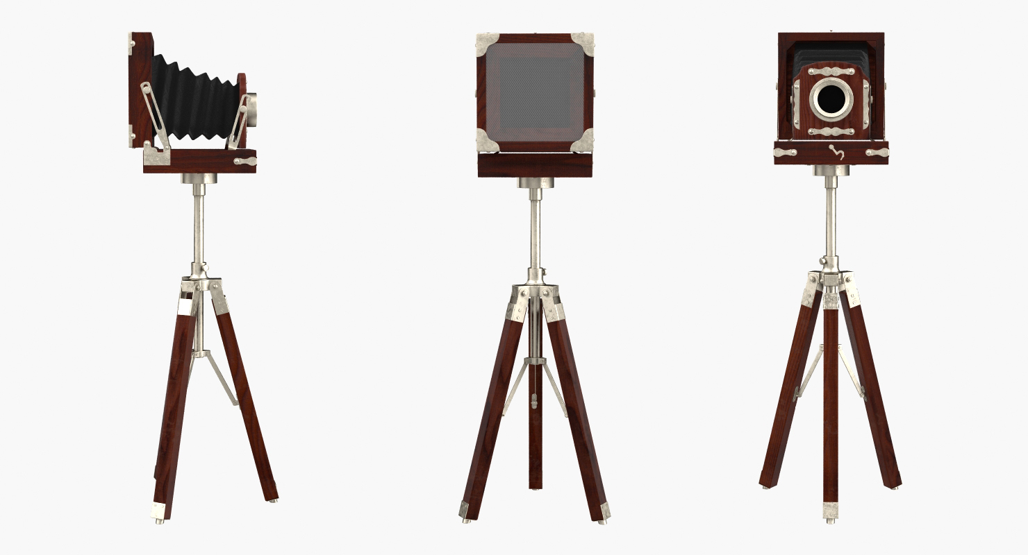 Antique Folding Plate Camera and Tripod 3D model