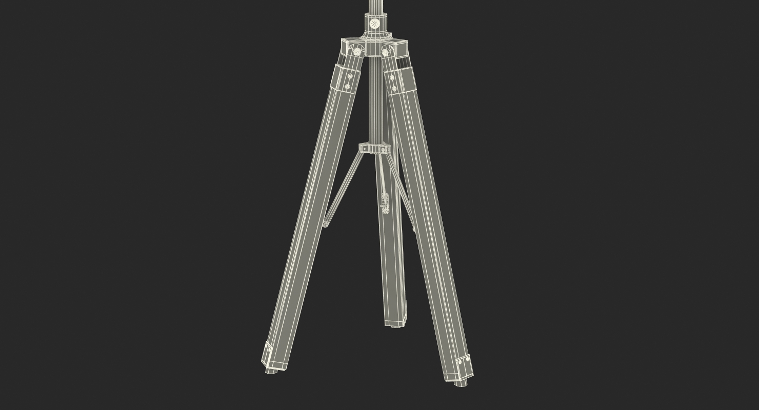 Antique Folding Plate Camera and Tripod 3D model