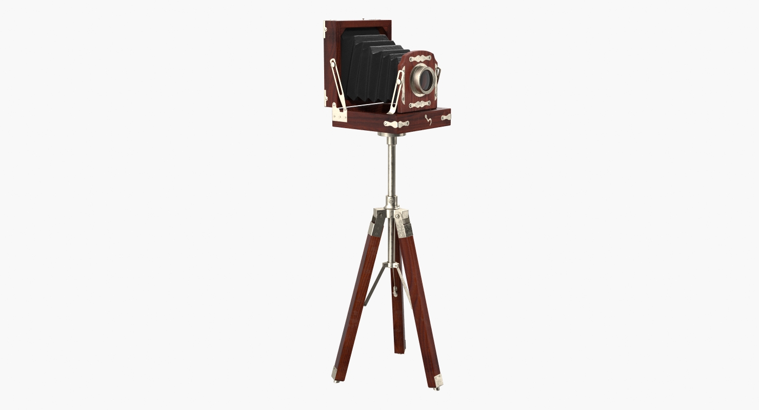 Antique Folding Plate Camera and Tripod 3D model