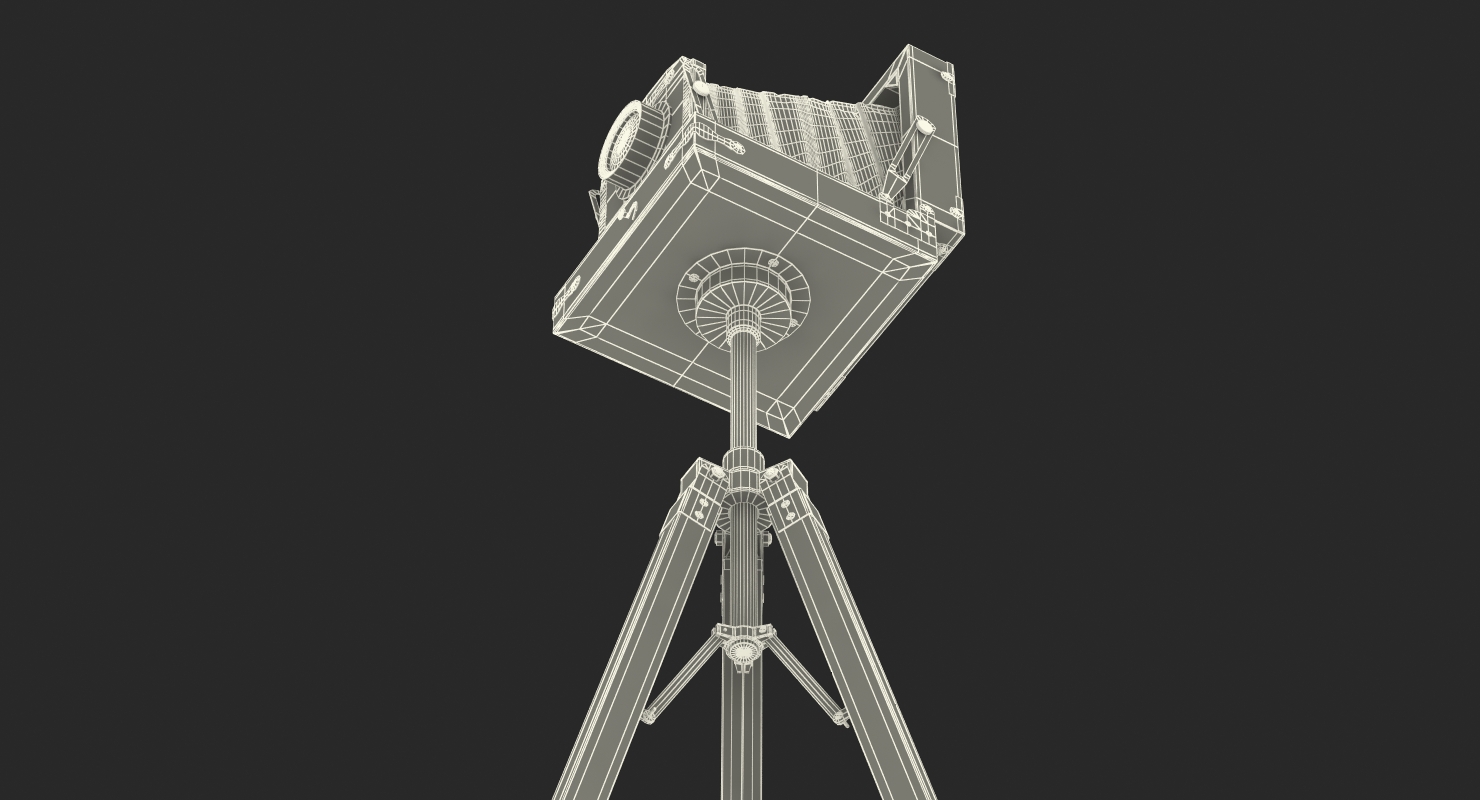 Antique Folding Plate Camera and Tripod 3D model