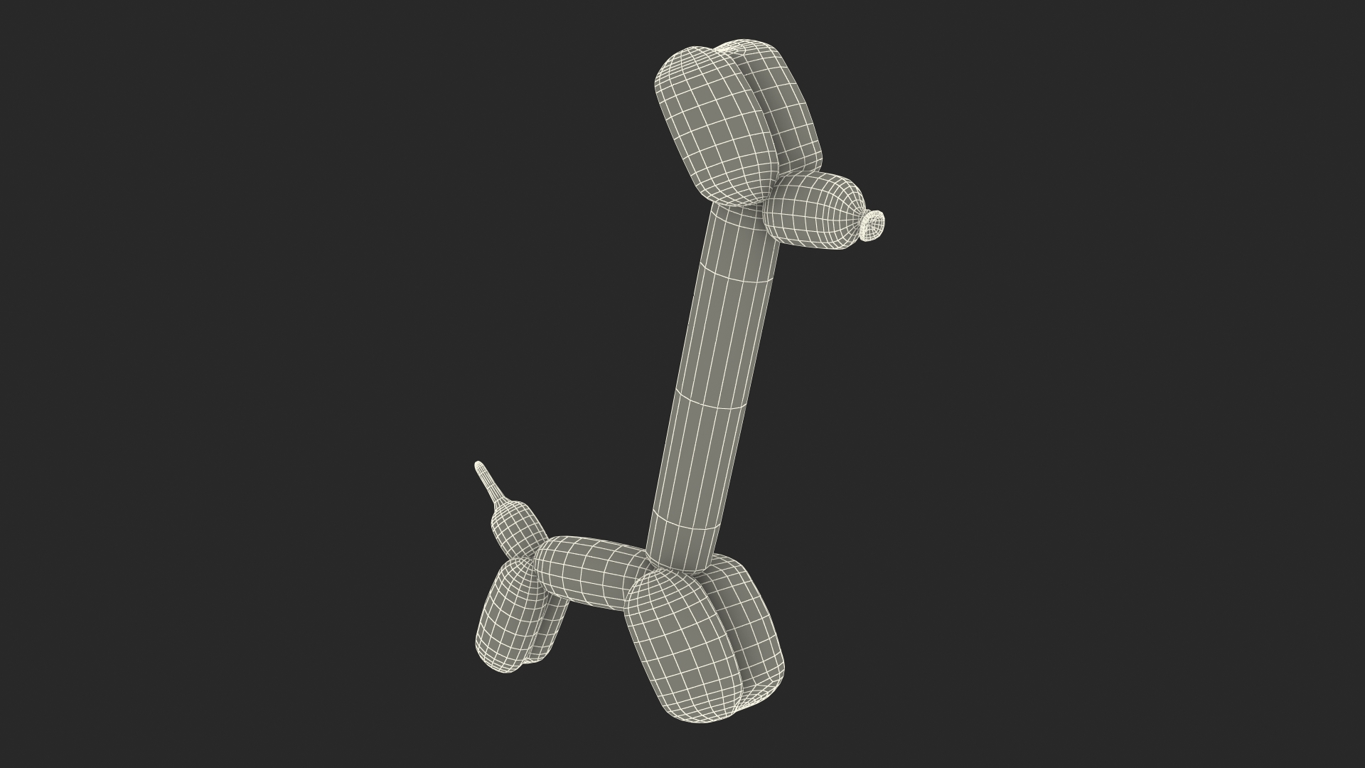 Balloon Animal Giraffe 3D