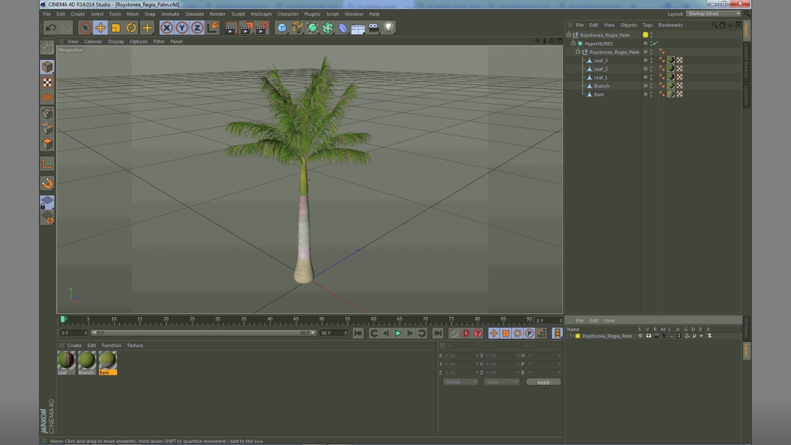 3D model Roystonea Regia Palm