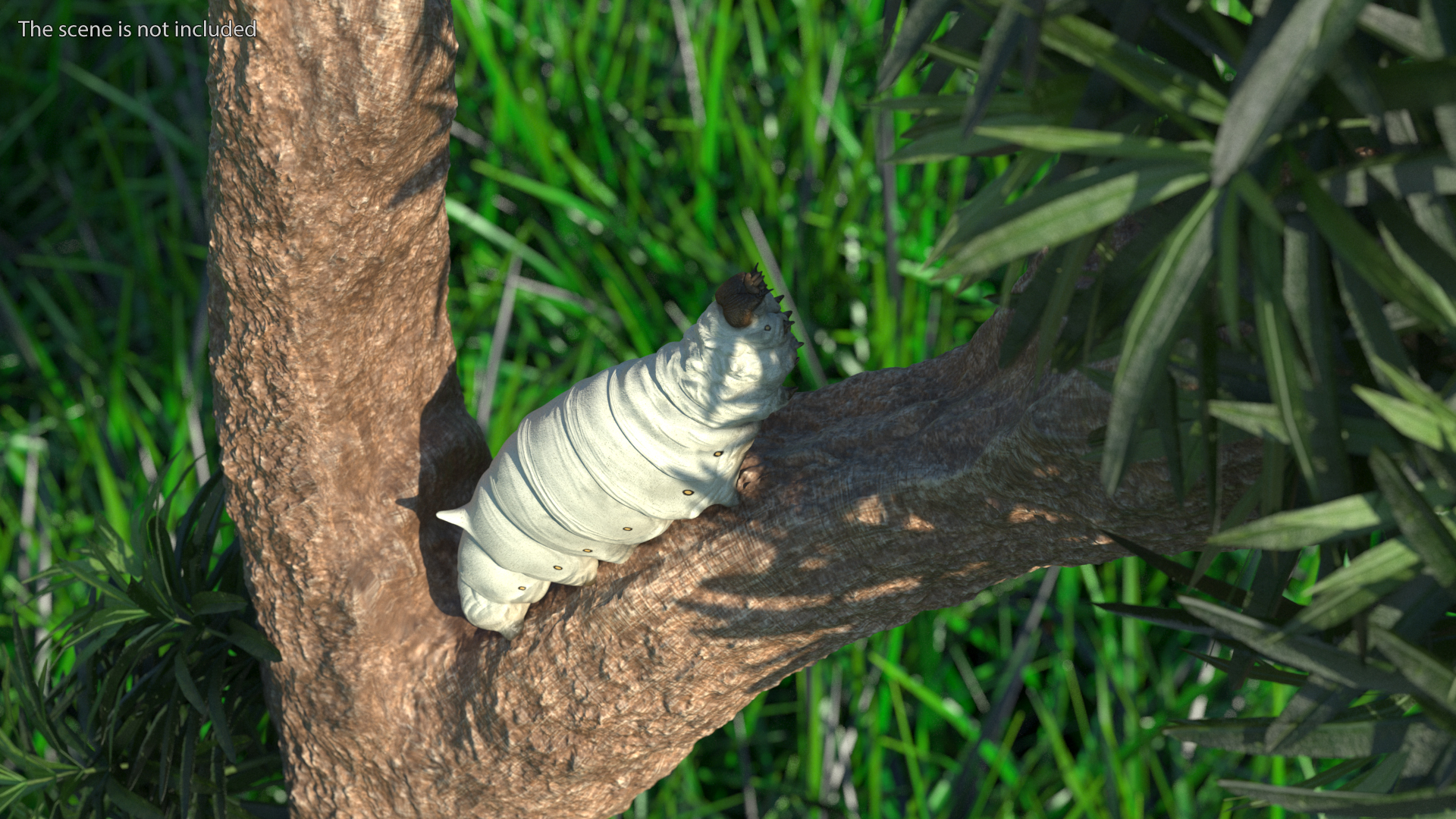 3D model Silkworm White Rigged for Maya