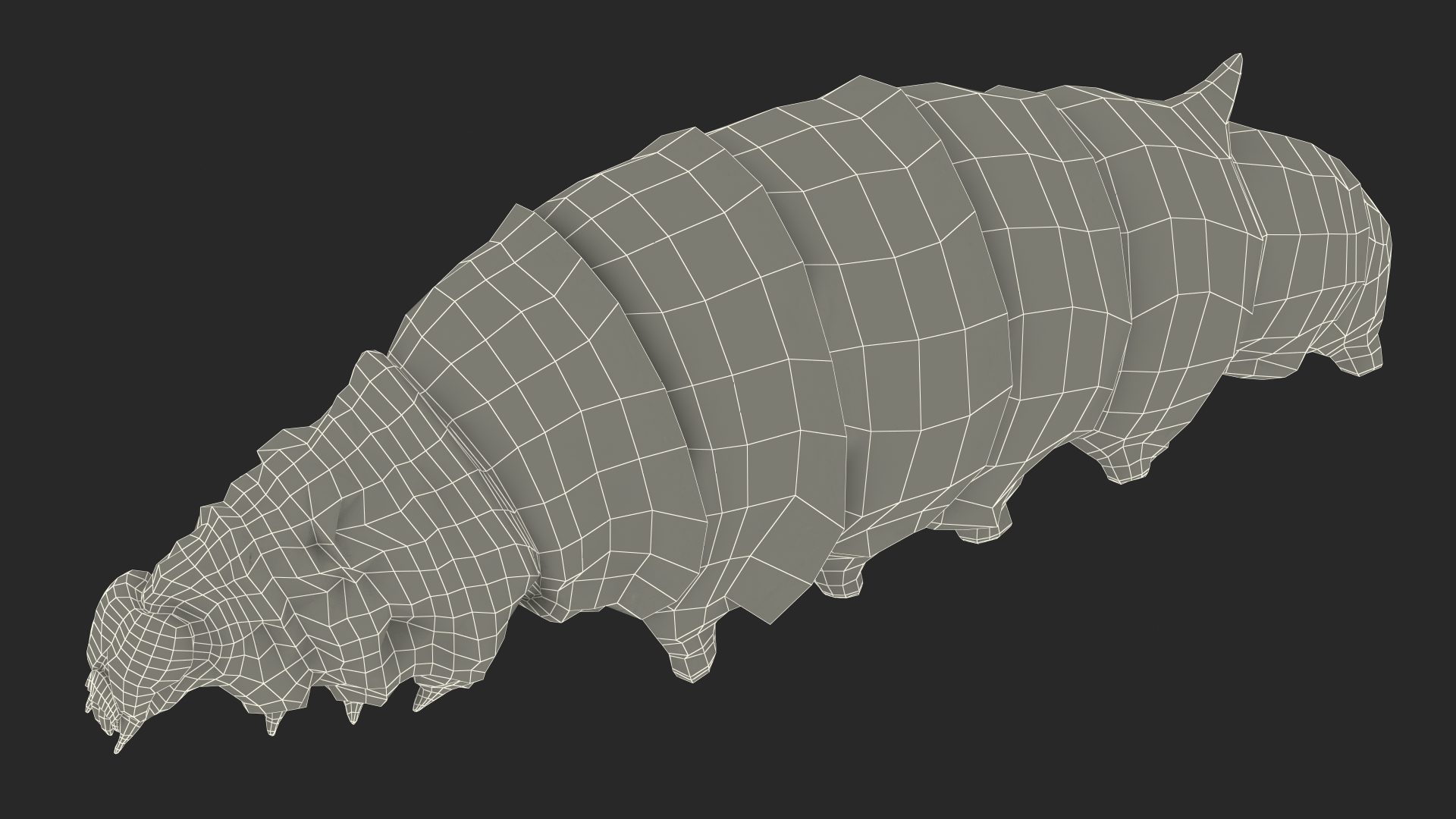 3D model Silkworm White Rigged for Maya