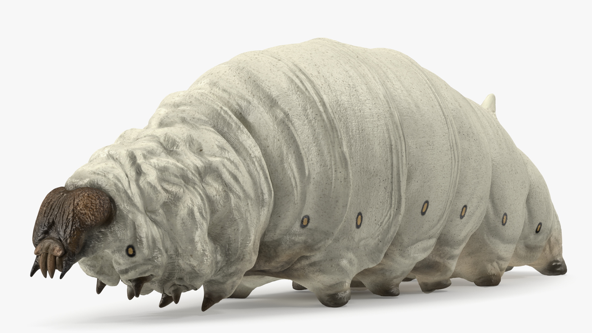 3D model Silkworm White Rigged for Maya