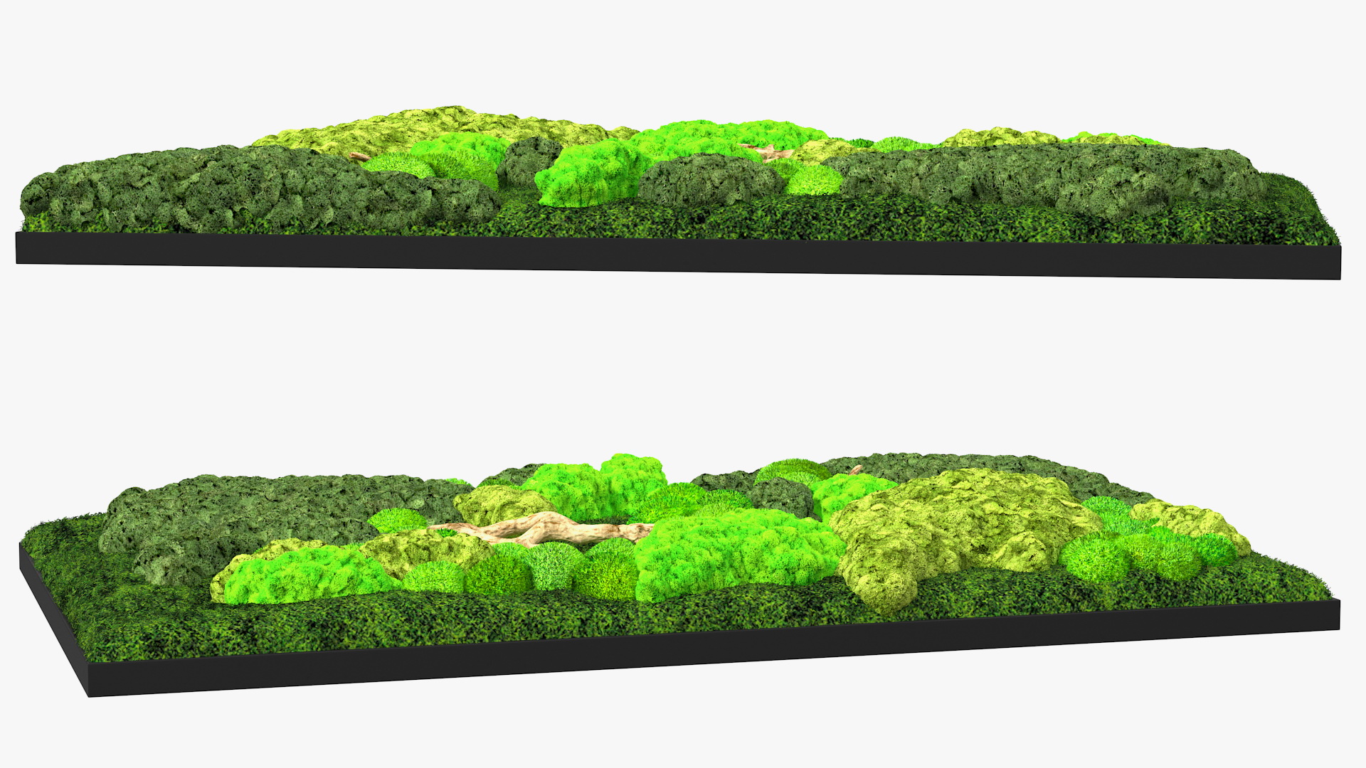 3D Indoor Plantscape Moss Wall Fur