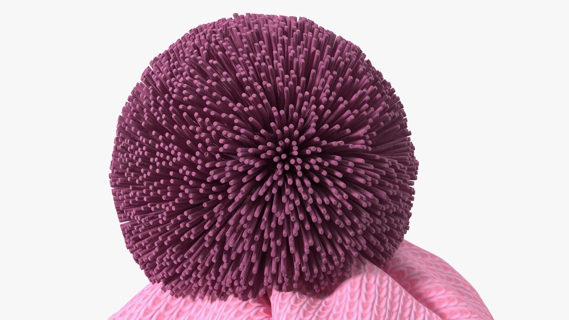 Winter Hat With Pompom Pink 3D