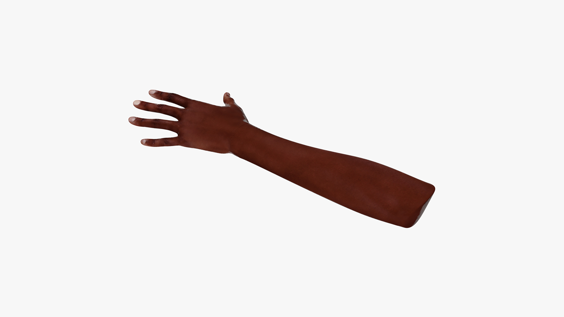 3D model Dark Skinned Woman Hands Rigged for Cinema 4D