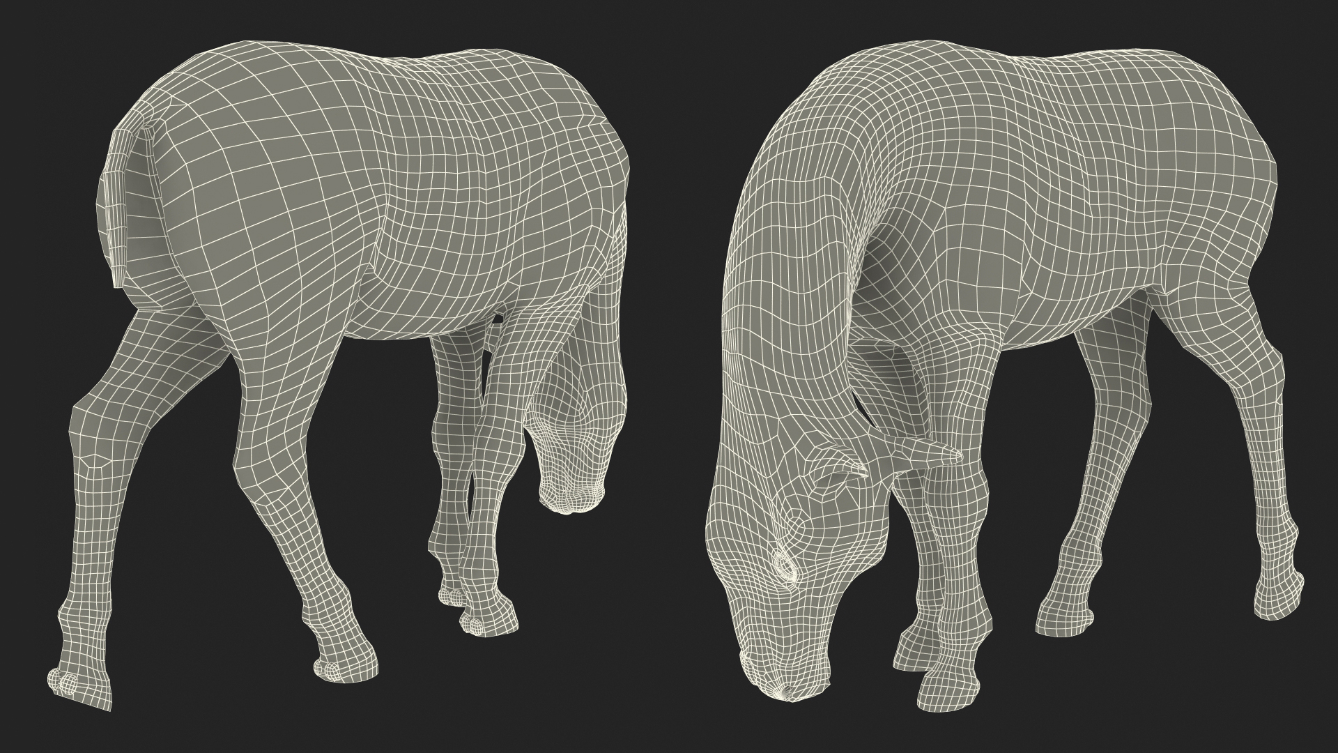 3D model White Shetland Pony in Grazing Pose