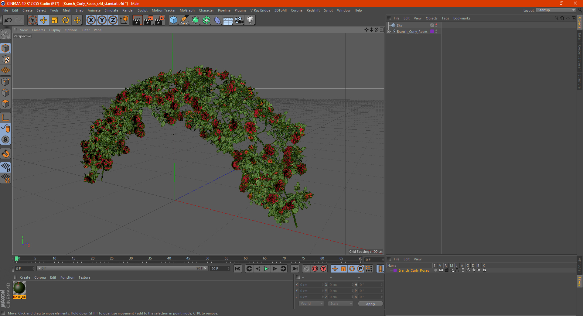 3D Branch Curly Roses model