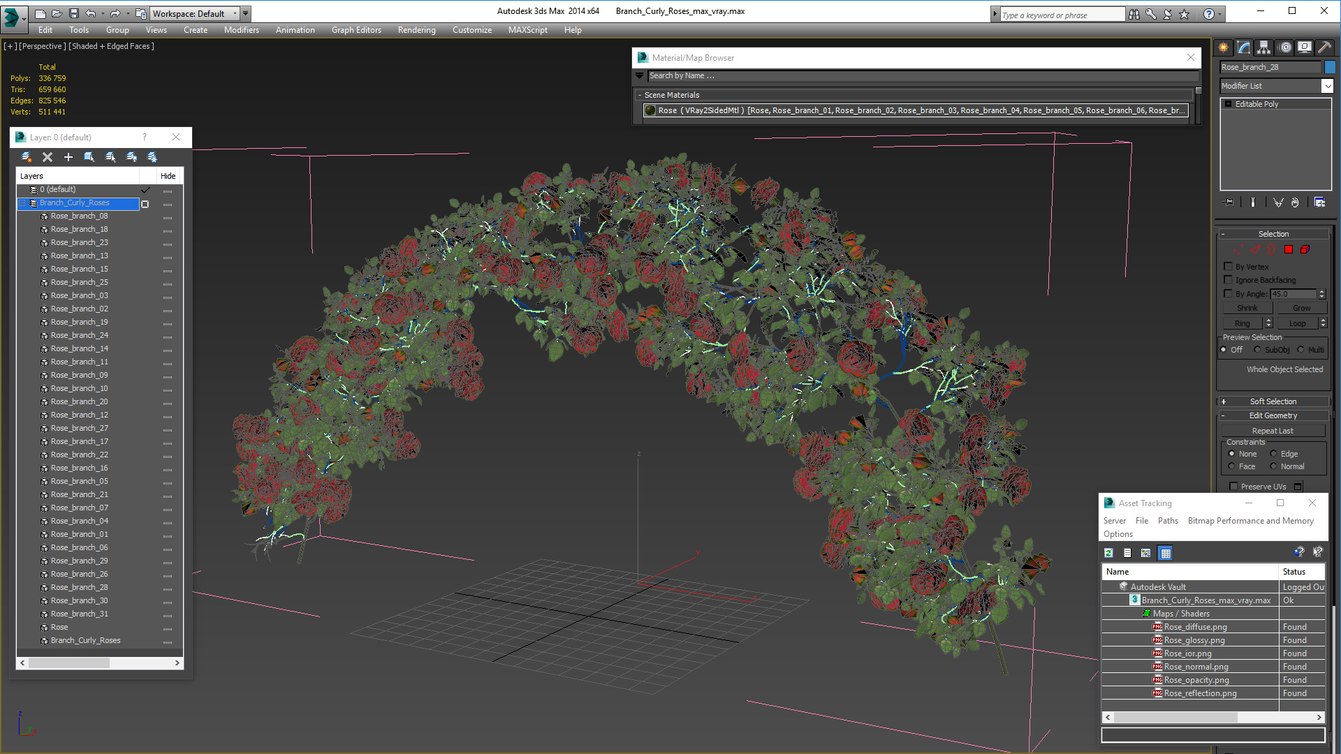 3D Branch Curly Roses model