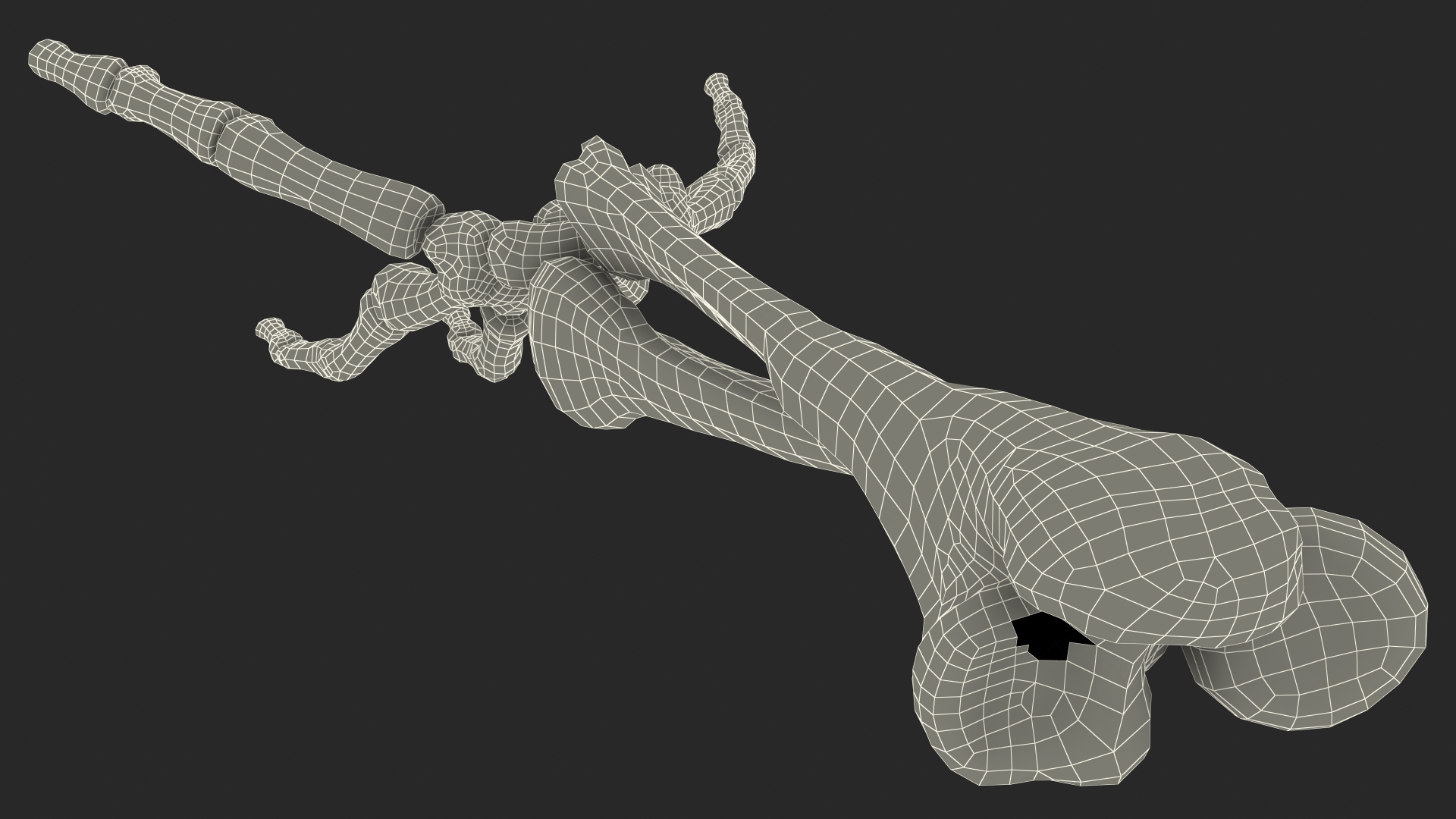 Skeleton Arm 3D