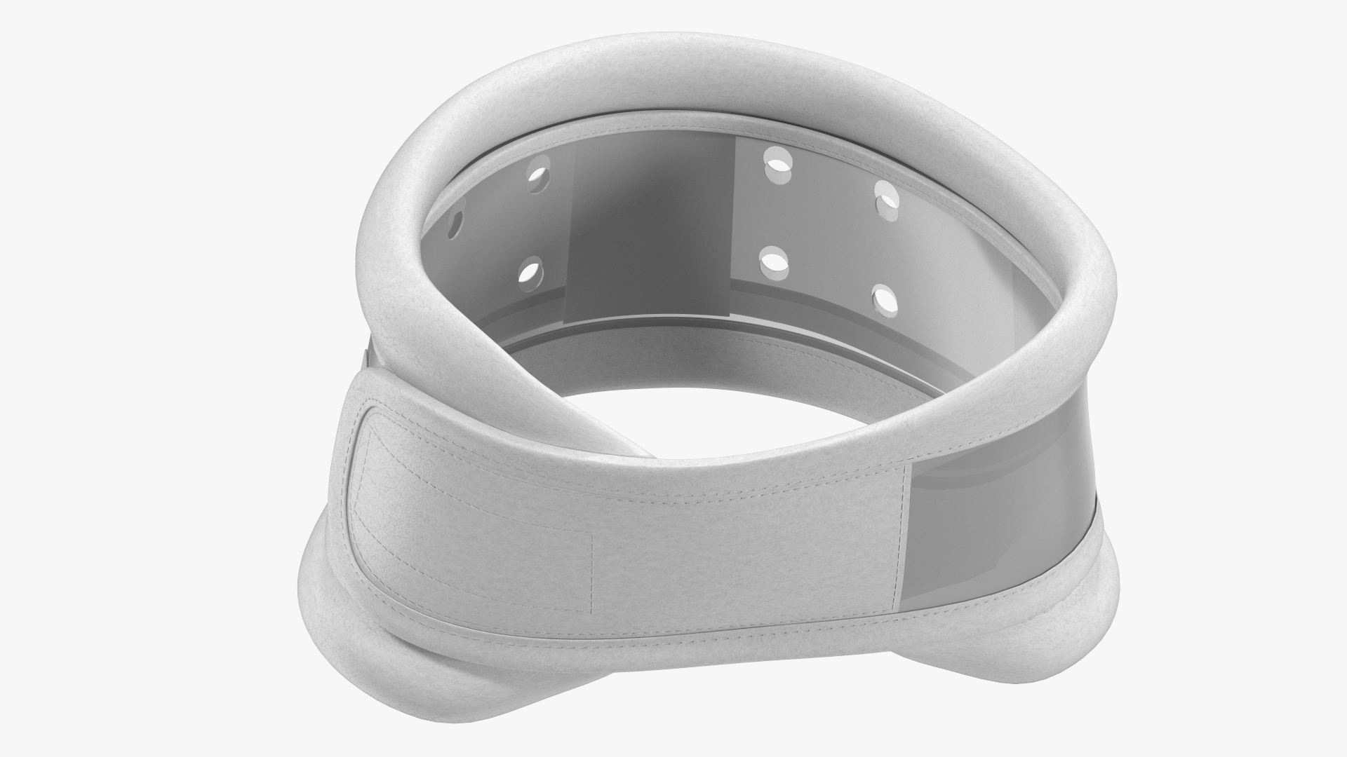 3D Schanz Collar model