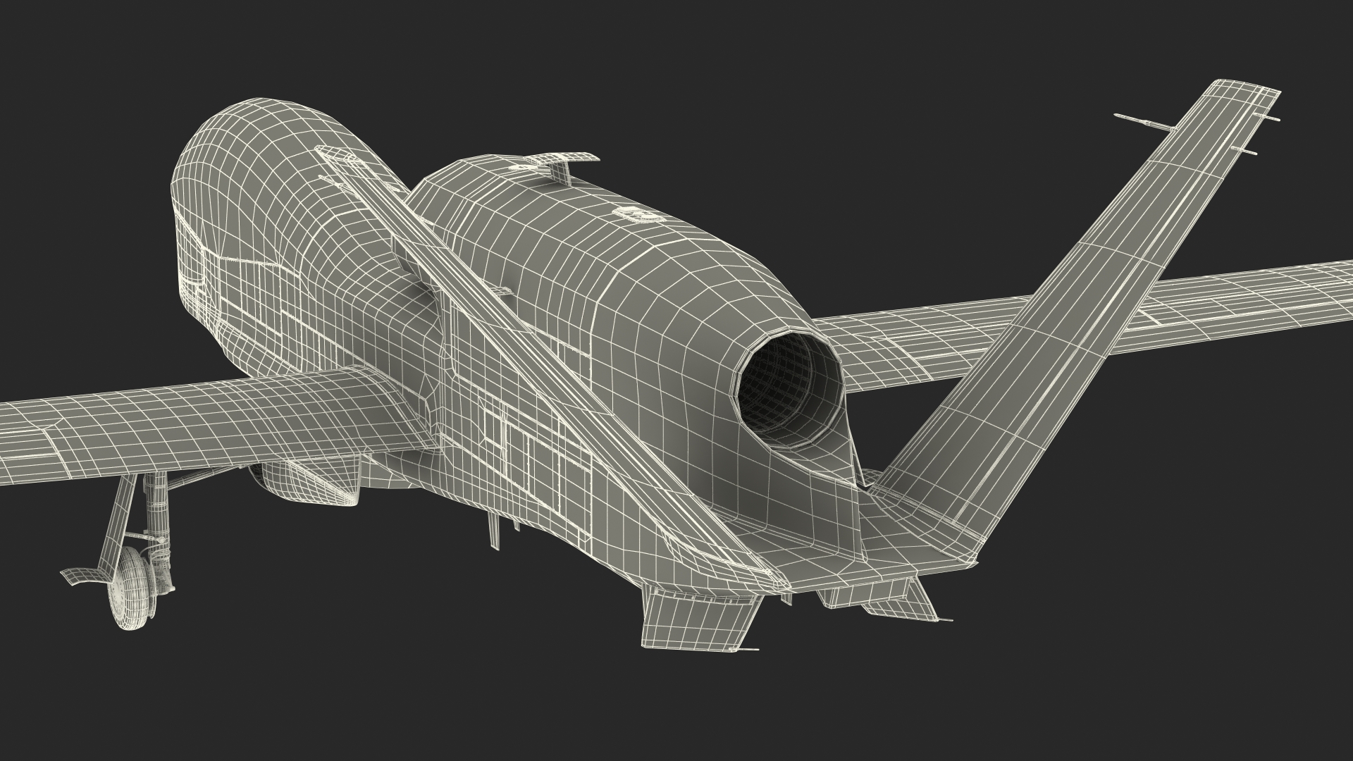 Long-range Reconnaissance UAV 3D model