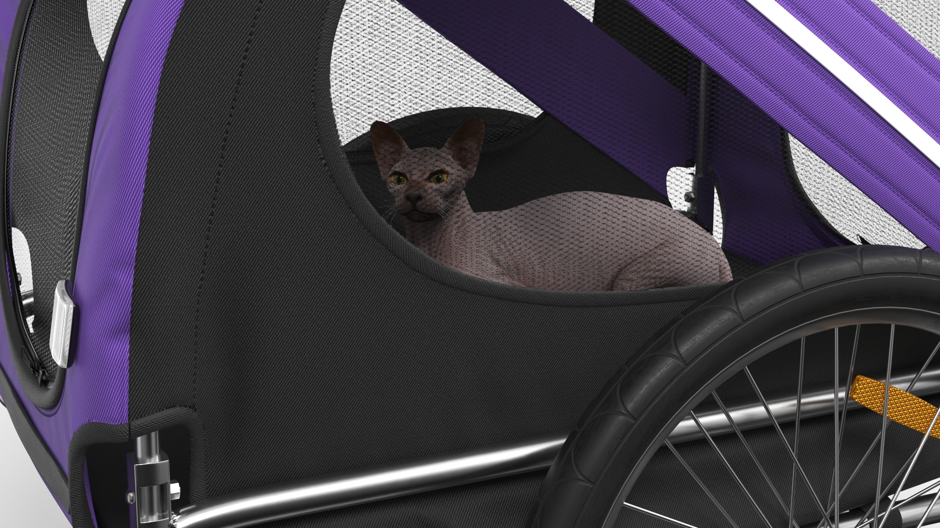 3D Bicycle Pet Trailer Violet with Sphynx model