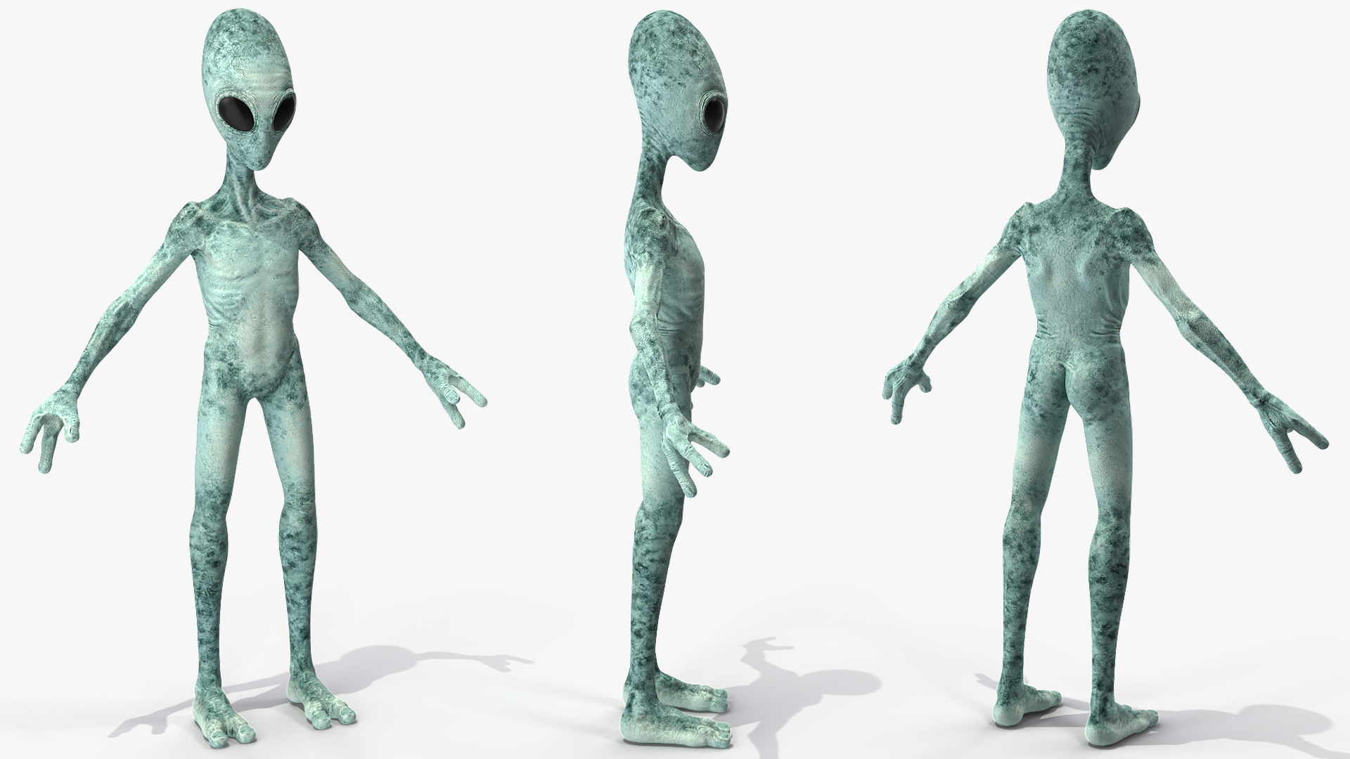 Extraterrestrial Alien T Pose 3D model