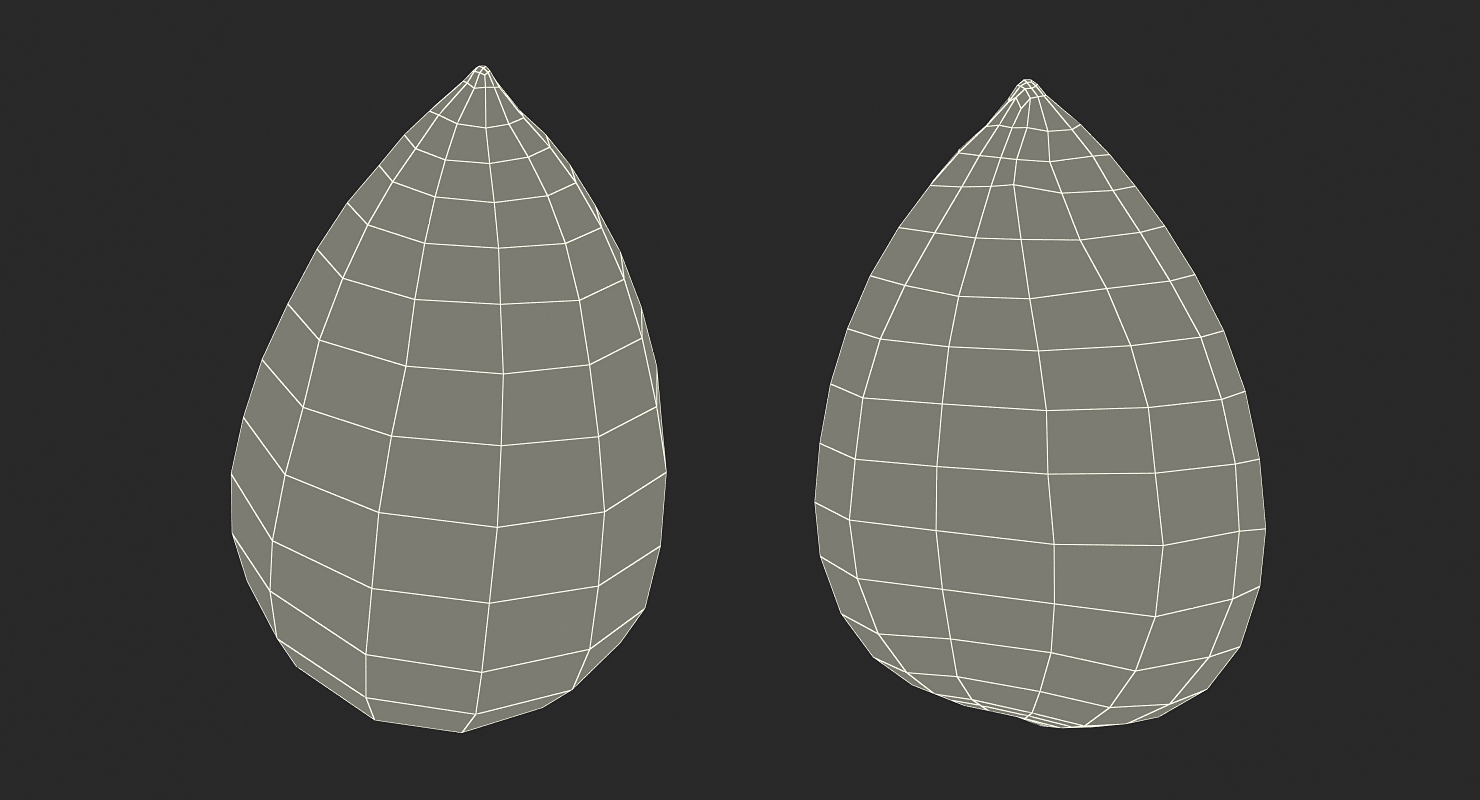 Avocado Seed 3D