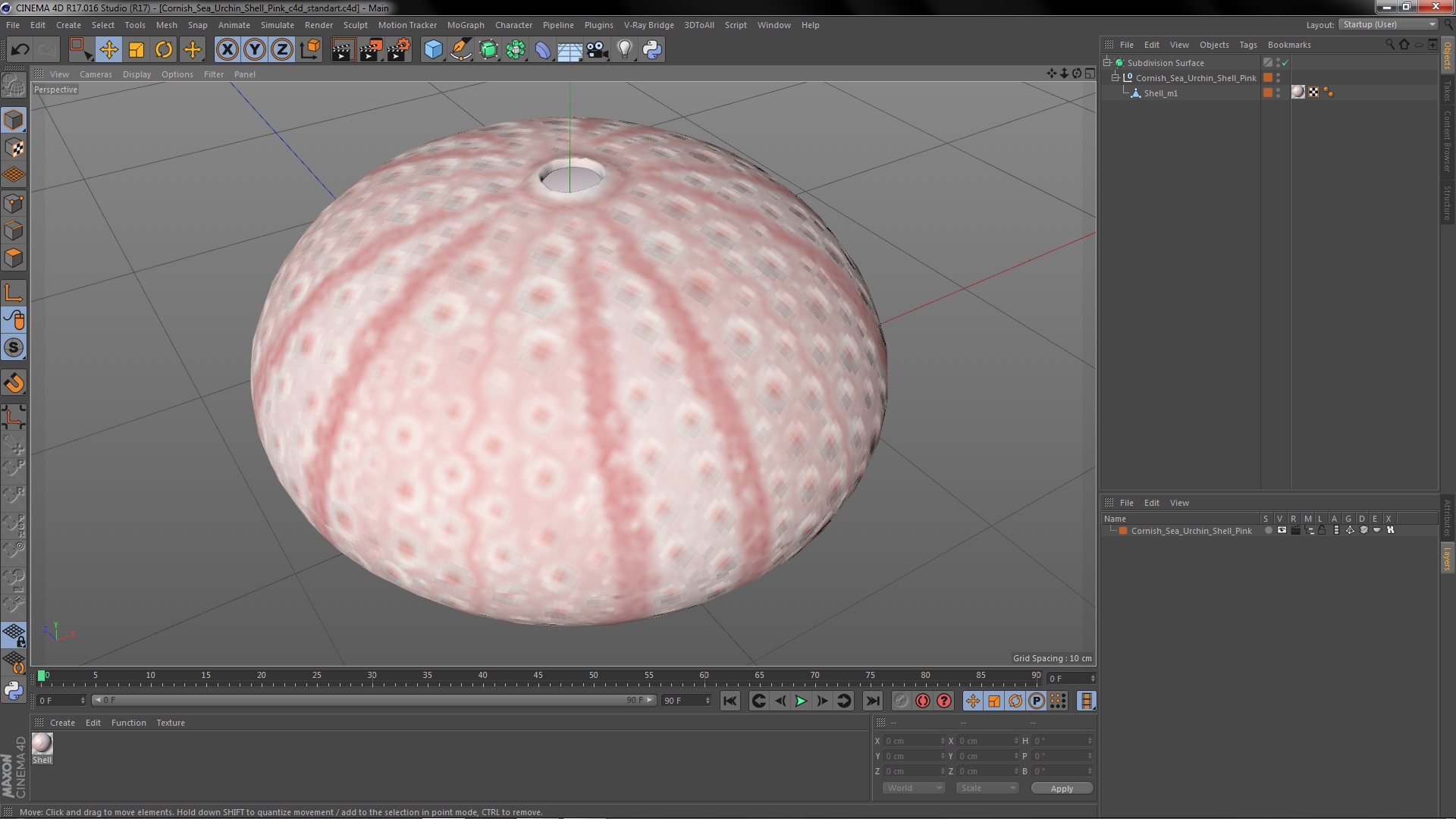 Cornish Sea Urchin Shell Pink 3D model