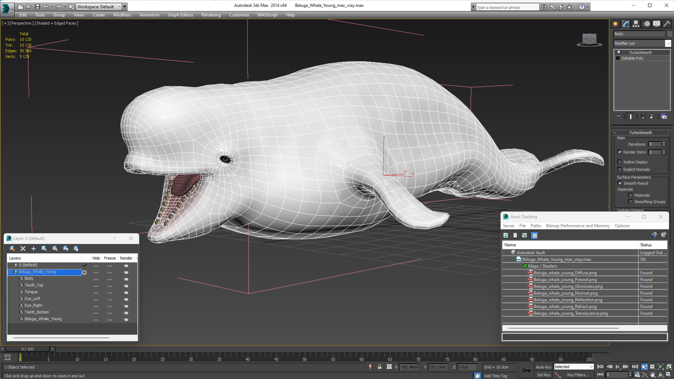 3D Beluga Whale Young model