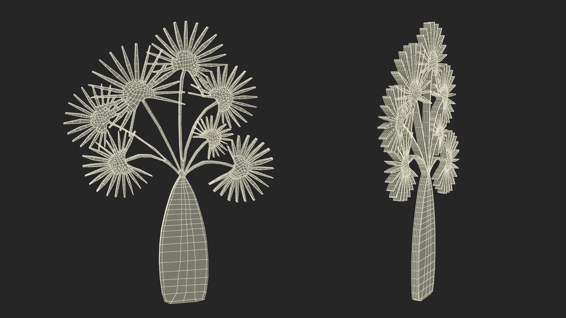 3D model Date Tree Silhouette