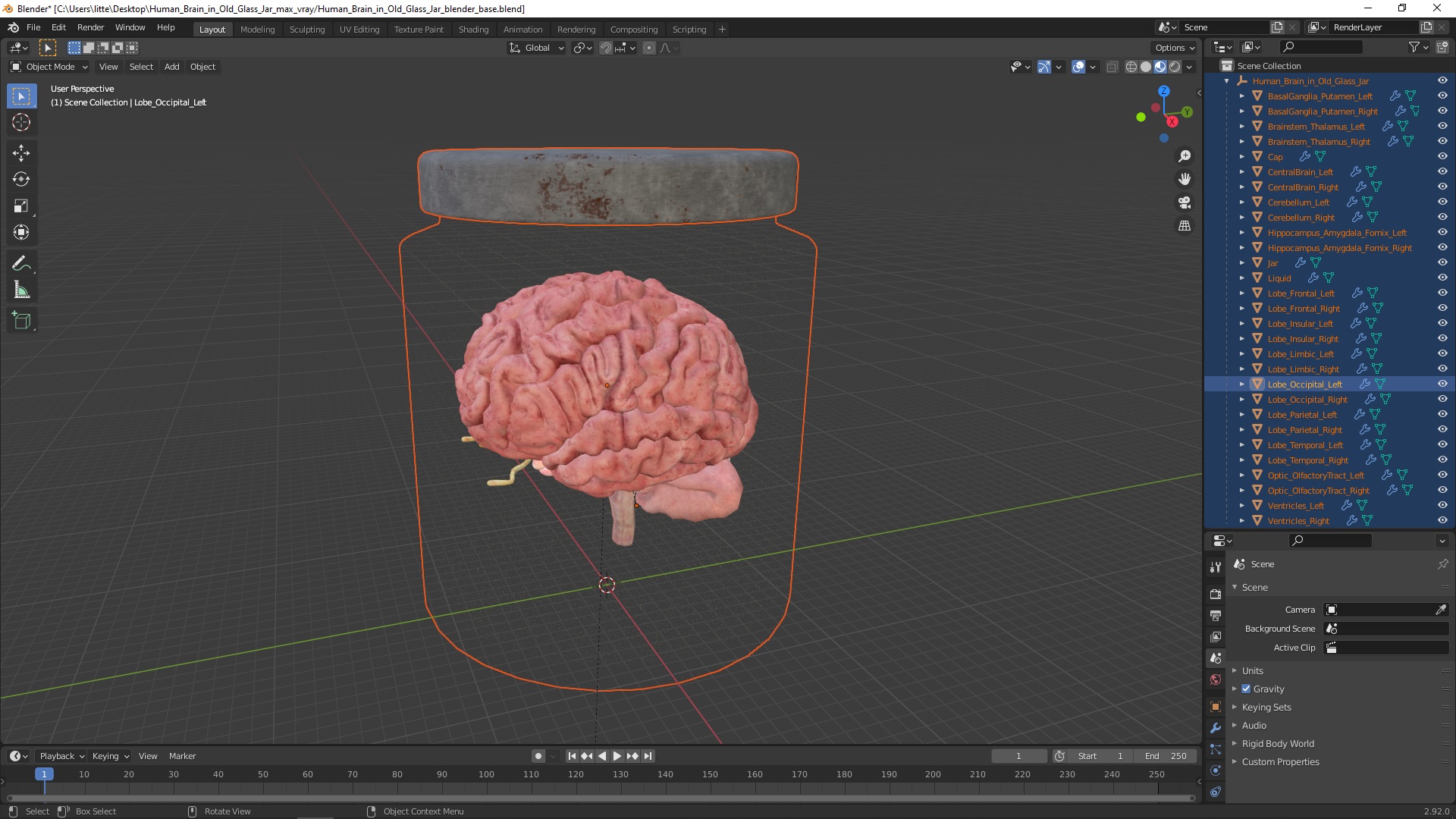 3D Human Brain in Old Glass Jar model