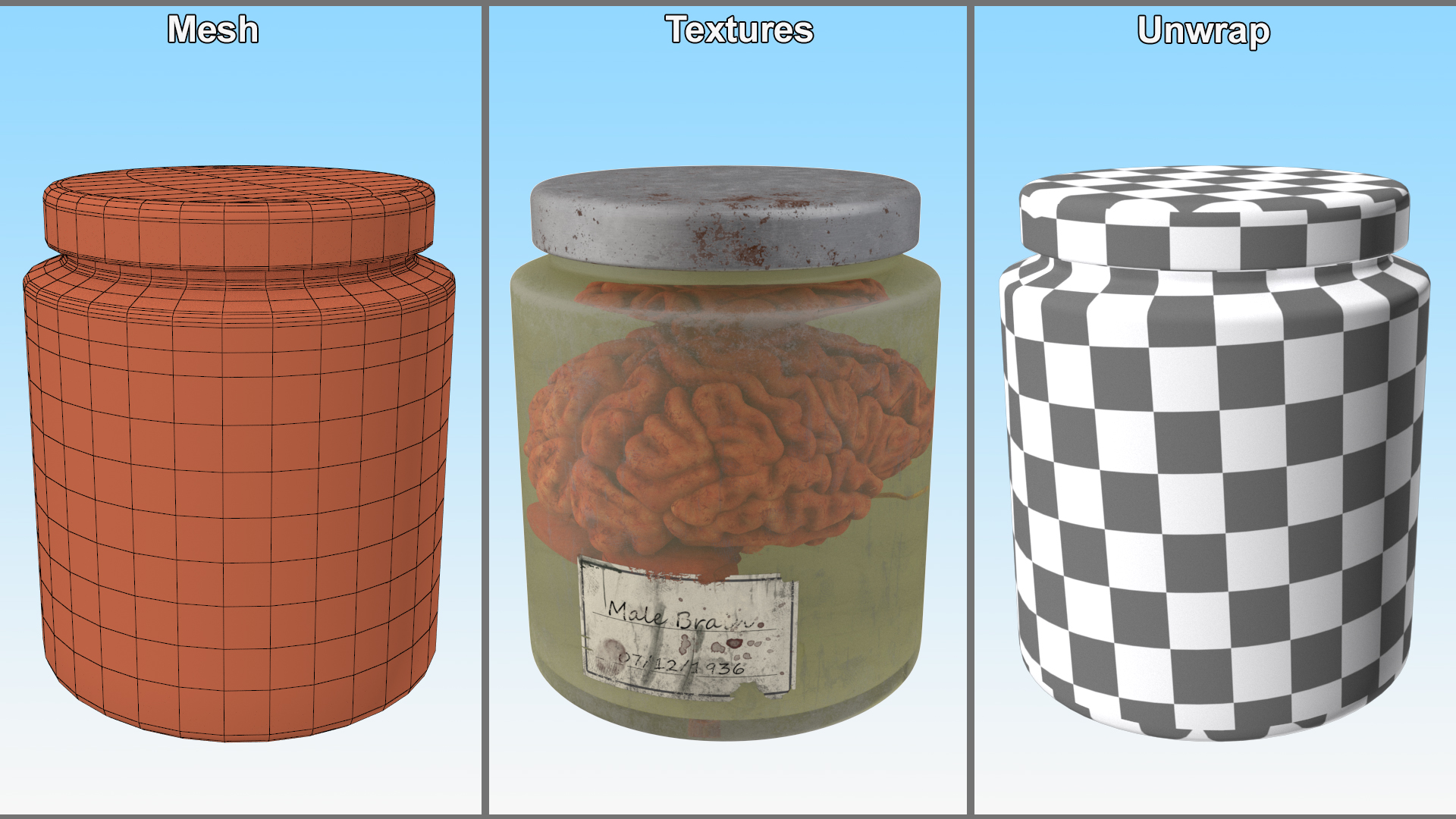 3D Human Brain in Old Glass Jar model