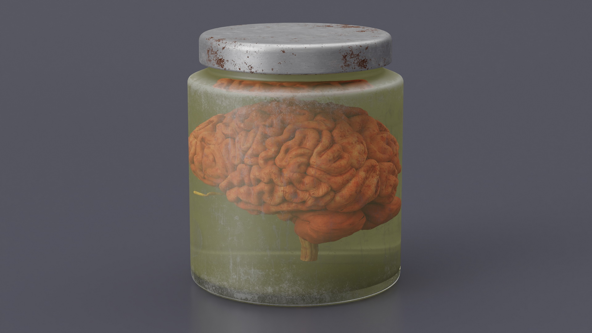 3D Human Brain in Old Glass Jar model